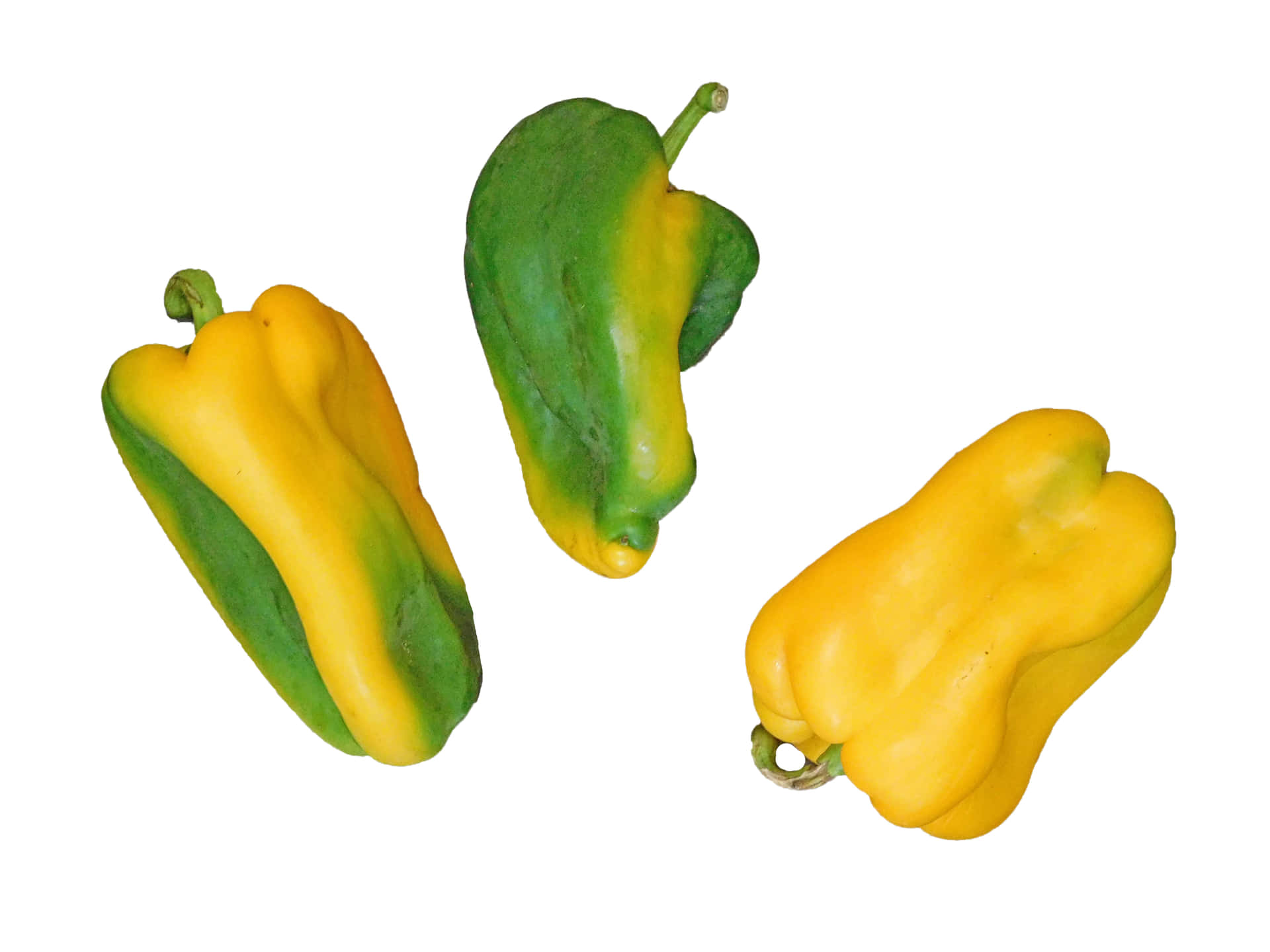 Peppers 壁紙 — 三個青椒和黃椒排列在純白色背景上。