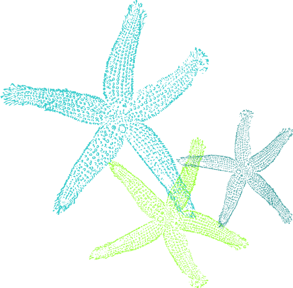 Starfish Clipart 桌布 壁紙 — 三個風格化的海星，以青綠色和萊姆綠色呈現，帶有圓點紋理，背景為純白色。