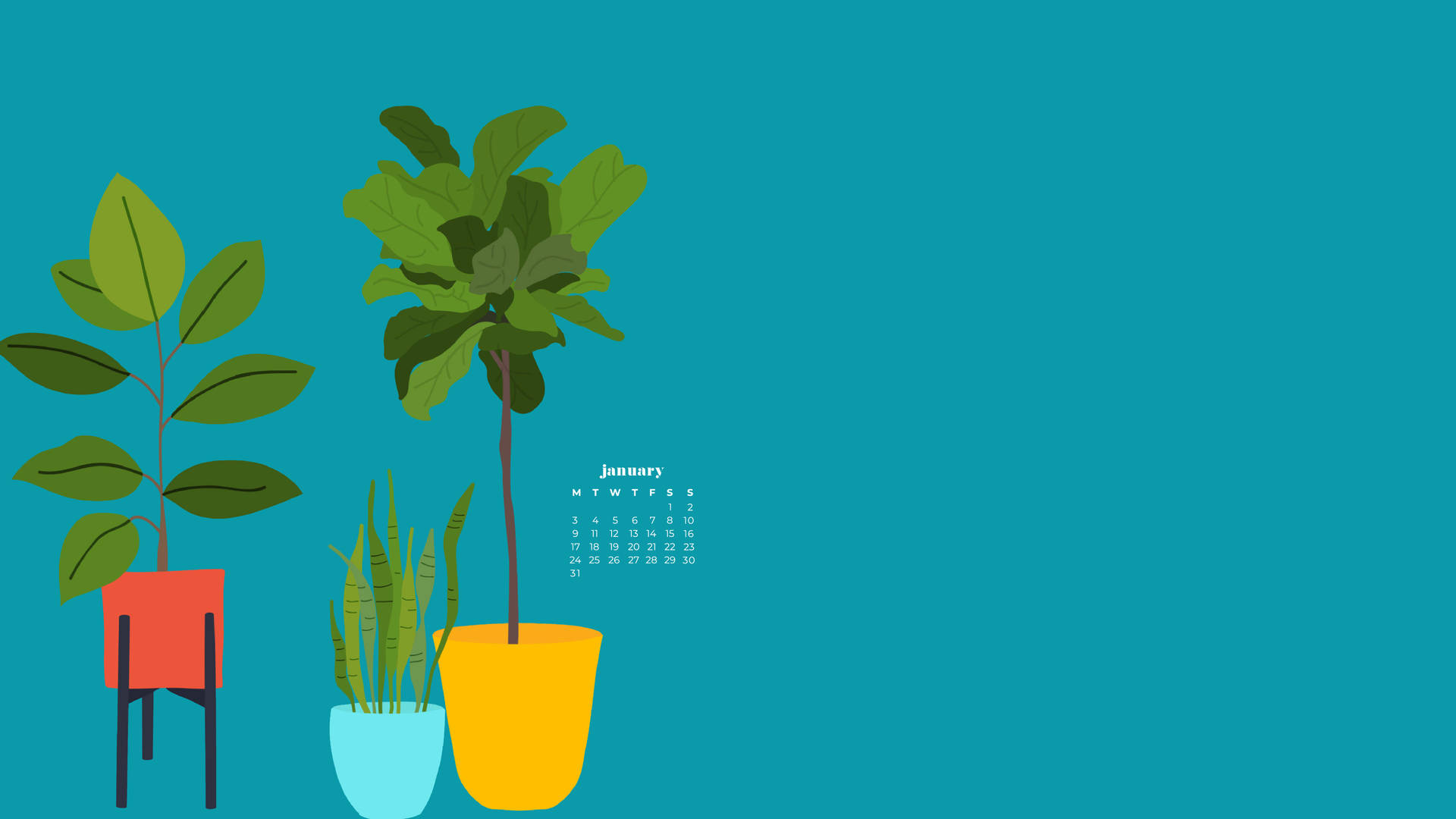 三個盆栽植物和一個一月日曆，背景為青色。 — 一月 GIF 壁紙