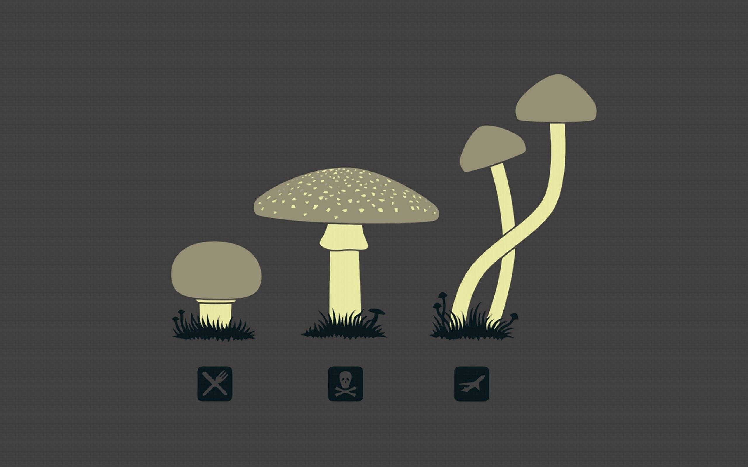 Mushroom 桌布 壁紙 — 三個風格化的蘑菇，下方有警告圖標，背景為深灰色。