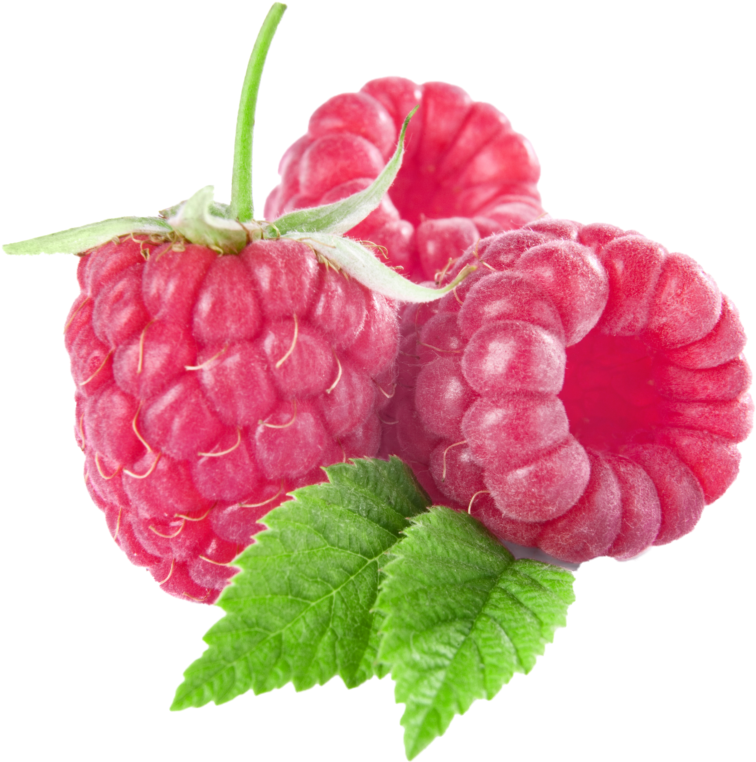 Raspberries 桌布 壁紙 — 三個飽滿成熟的覆盆子，帶有綠色葉子和莖，孤立在黑色背景上。