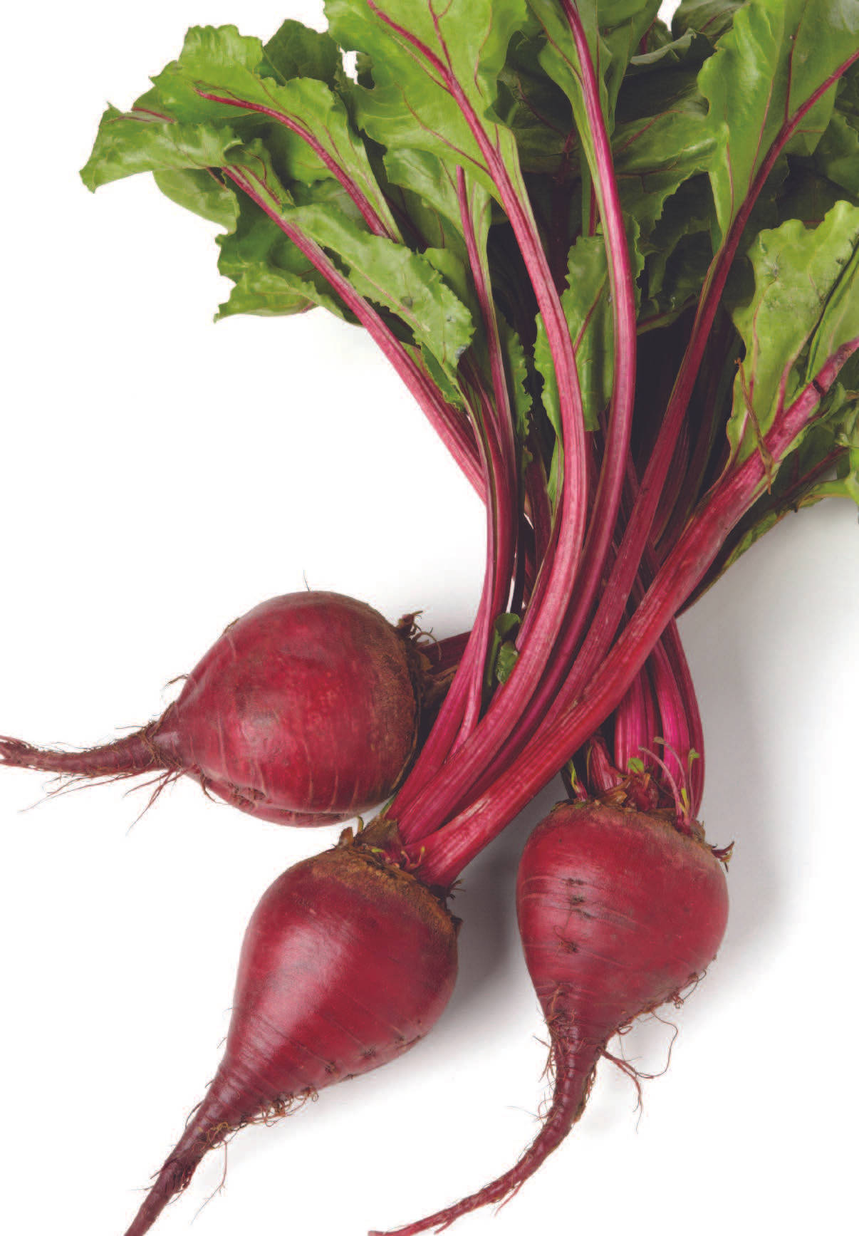 beetroot 桌布 壁紙 — 三個鮮紅色的甜菜根，帶有茂盛的綠葉和深紅色的莖，放在潔淨的白色背景上。