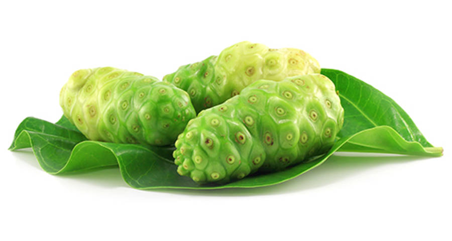Fruits 桌布 壁紙 — 三個鮮綠色、表面凹凸不平的諾麗果，放在大片有光澤的葉子上，背景是純白色。