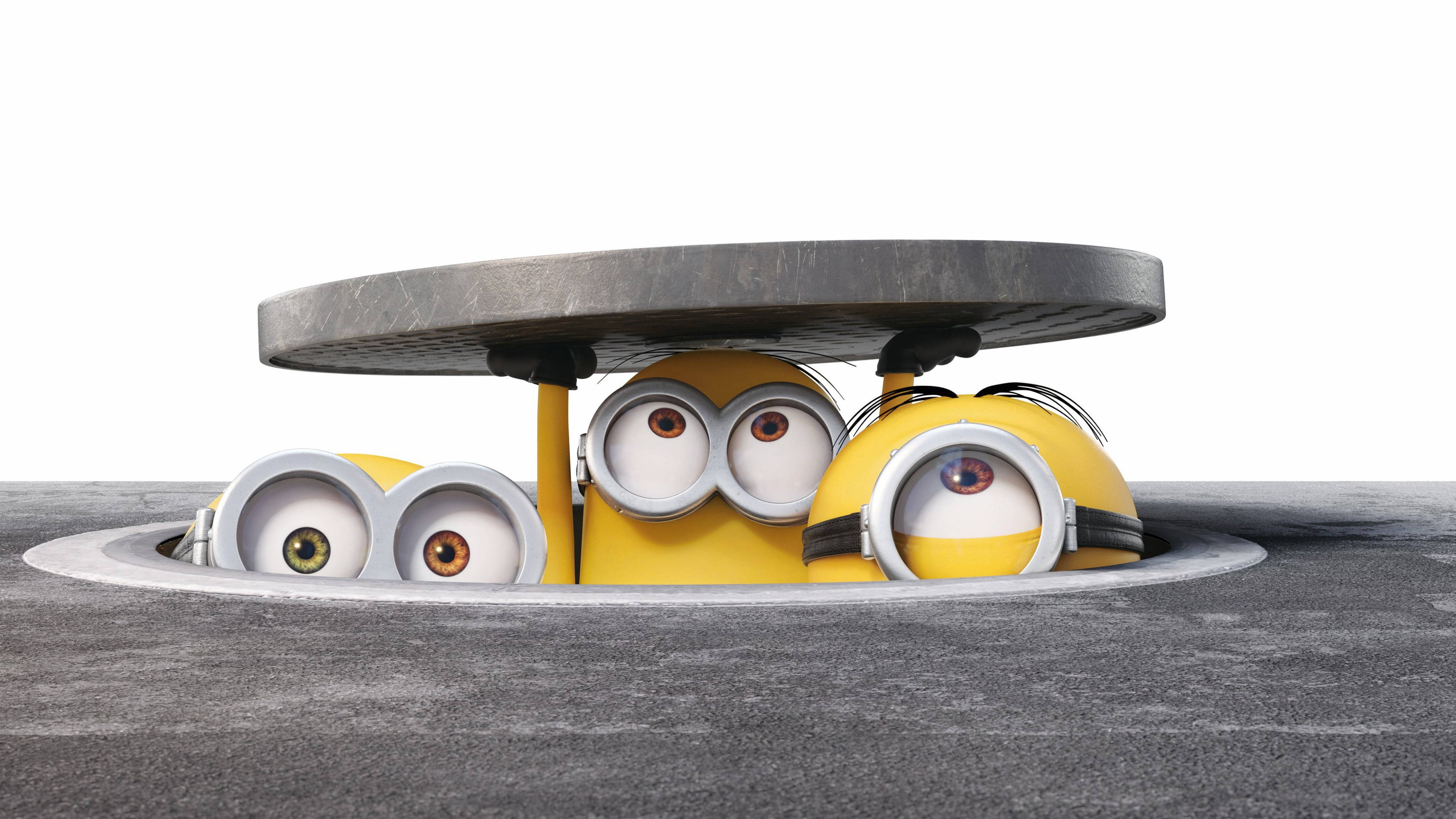 Despicable 桌布 壁紙 — 三個黃色Minions從人孔蓋好奇地探出頭來，睜大眼睛，背景是灰色混凝土。