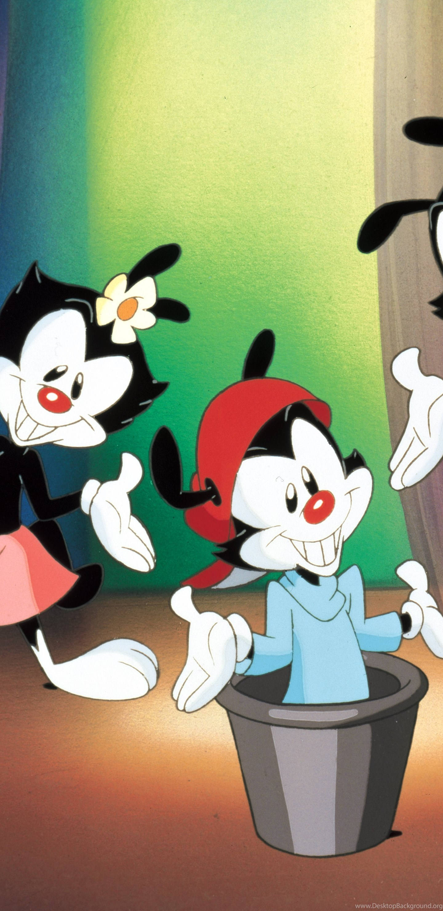 Animaniacs 桌布 壁紙 — 三個黑白毛髮、紅鼻子的卡通角色在溫暖燈光、綠色牆壁的房間裡愉快地擺姿勢。