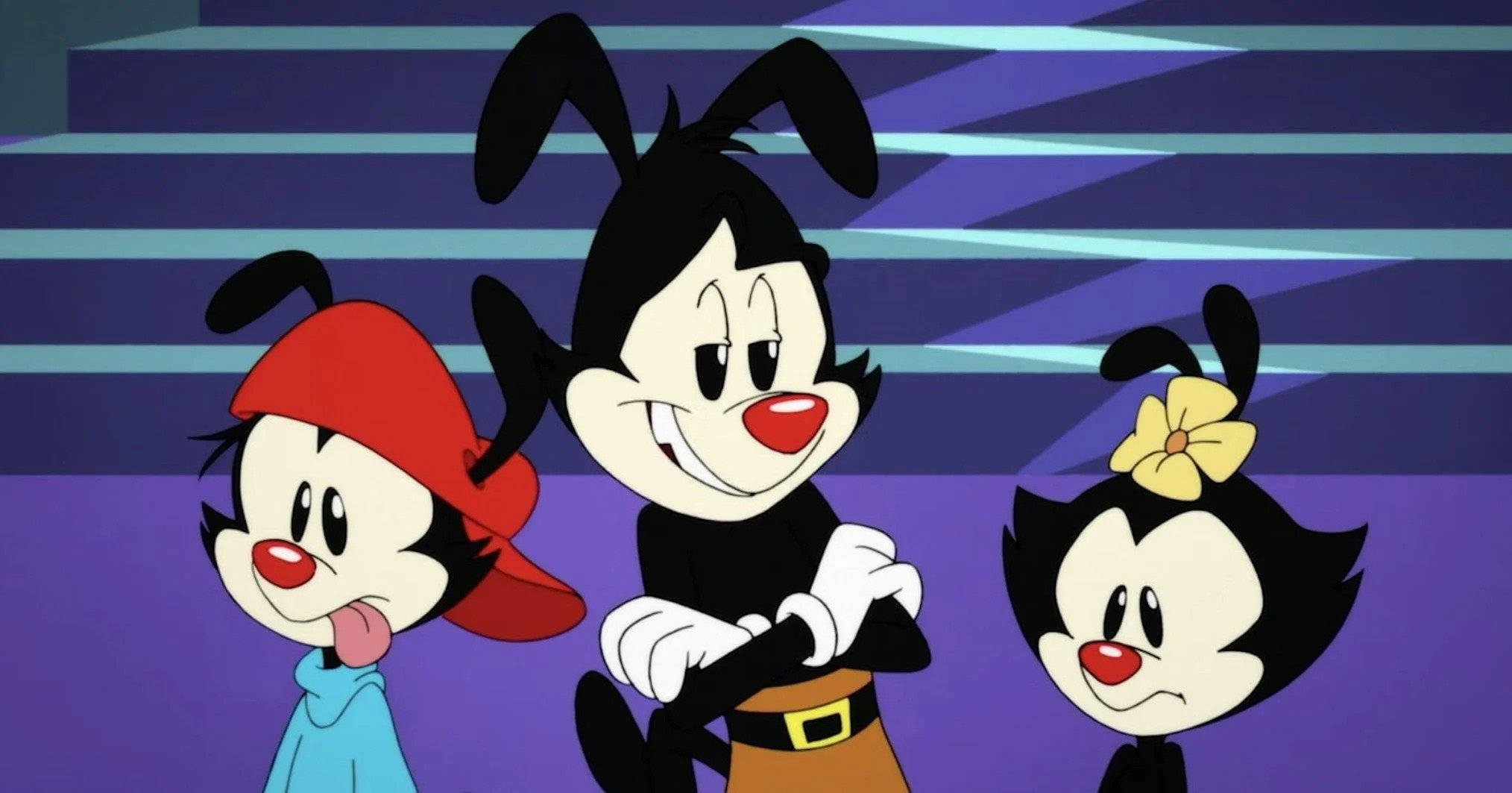 Animaniacs 桌布 壁紙 — 三個黑色頭髮、紅色鼻子的卡通人物站在紫色和藍色條紋背景前。