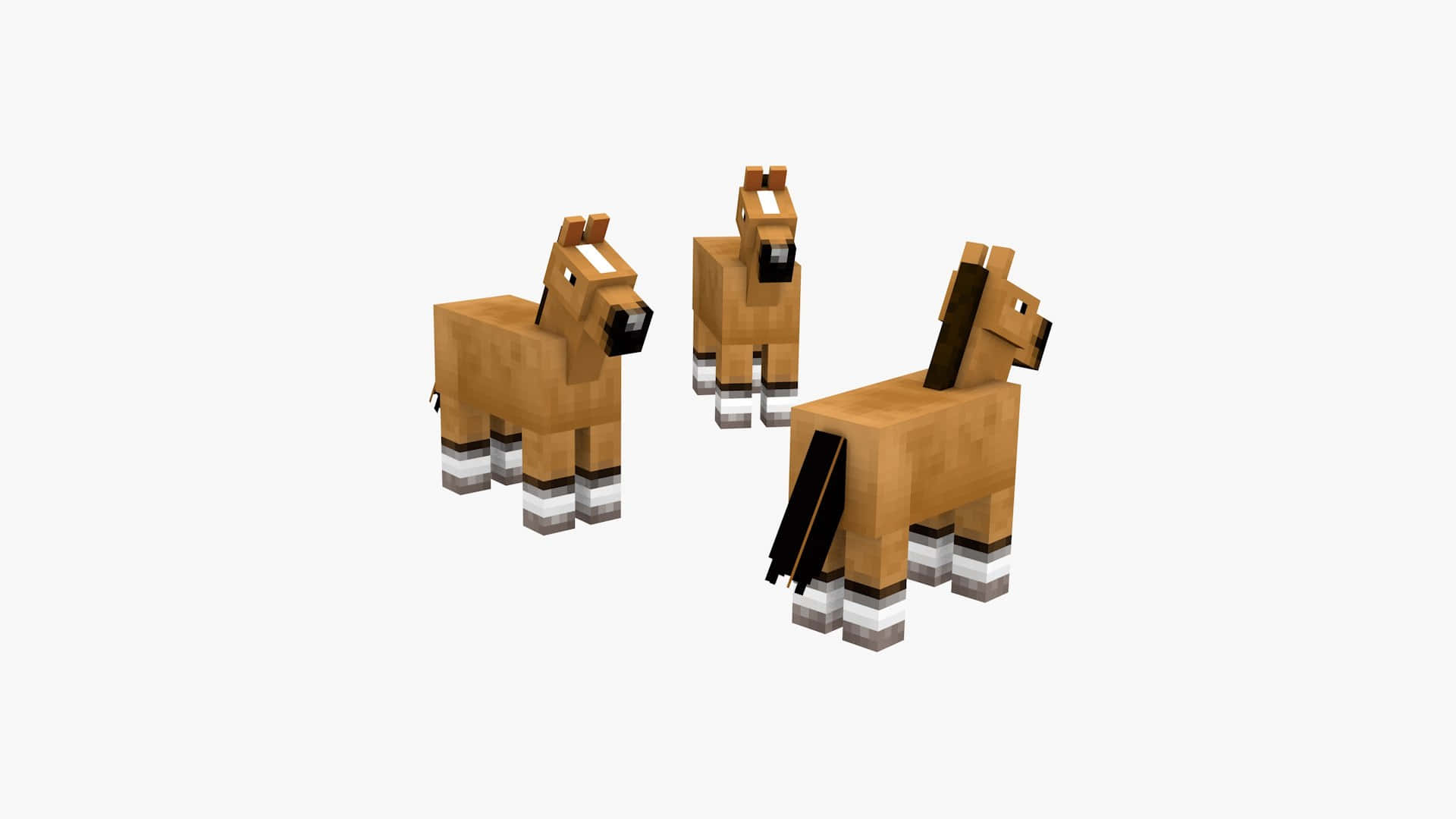Minecraft Horses 桌布 壁紙 — 三匹像素化的棕色馬匹，黑色鬃毛和條紋腿，站在潔白的空間中。