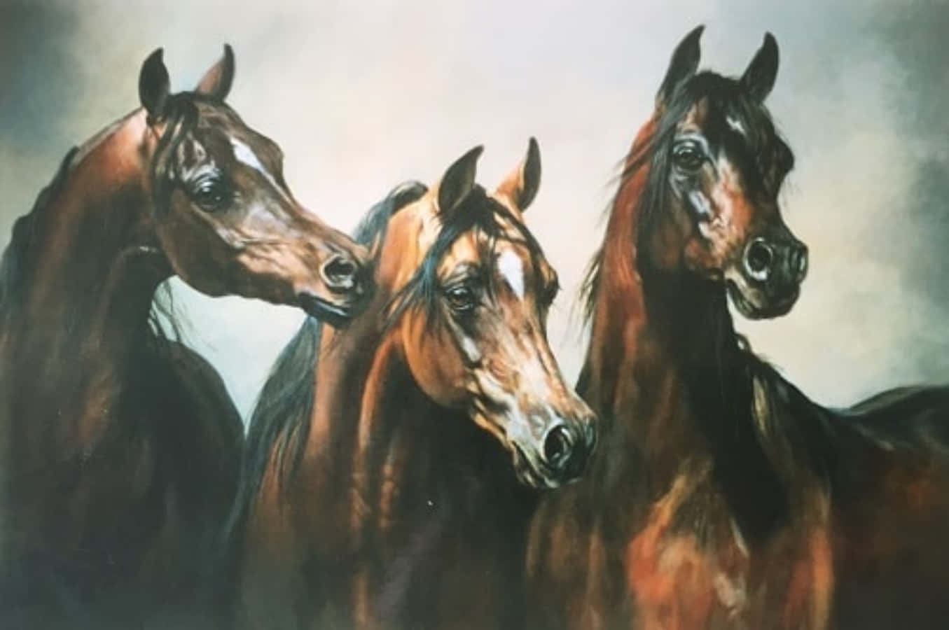 Arabian Horses 桌布 壁紙 — 三匹擁有濃厚棕色毛髮的雄偉馬匹，在柔和的灰色天空下，於一幅戲劇性的油畫中緊密地站在一起。