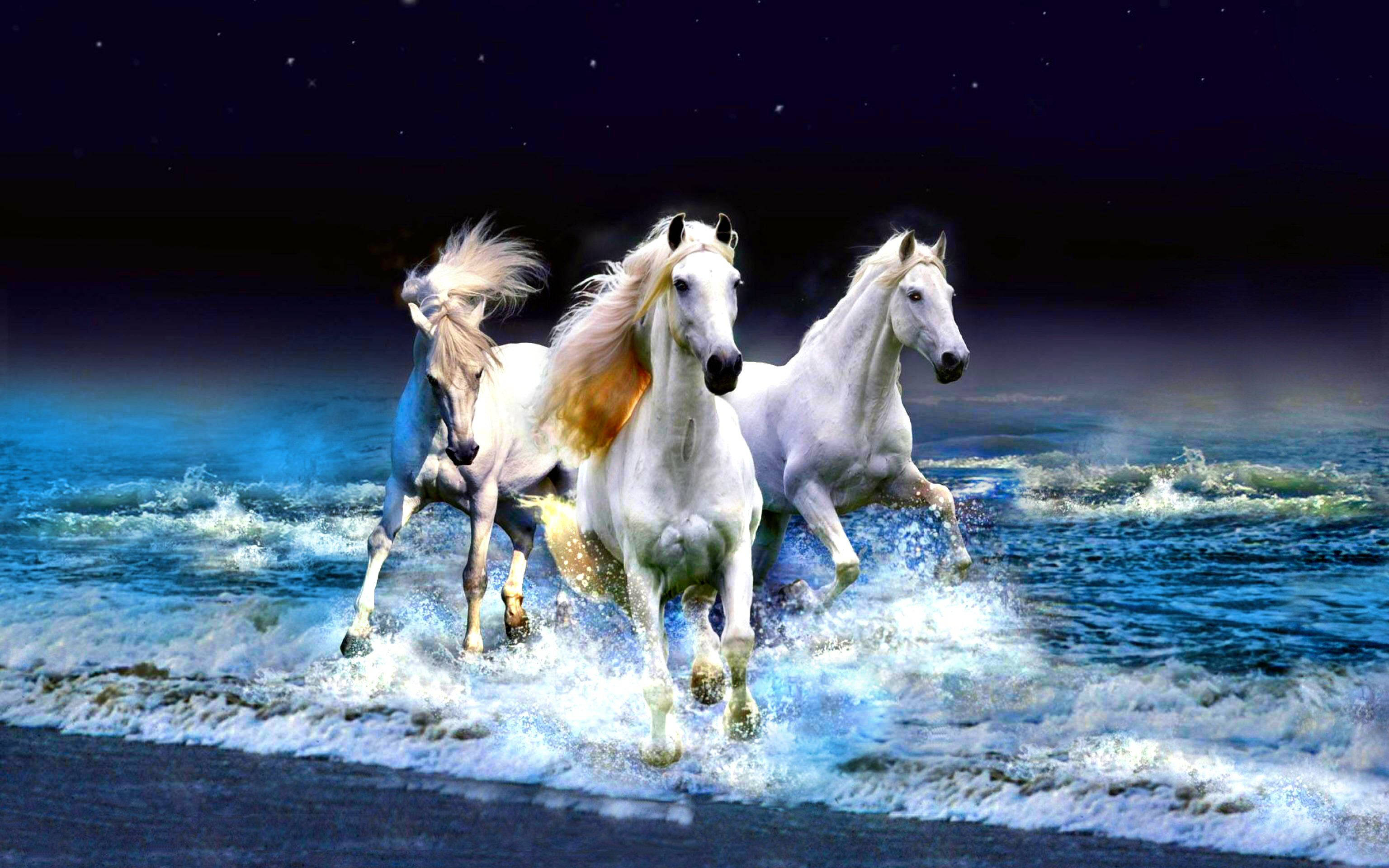 馬 桌布 壁紙 — 三匹雄偉的白馬在星空下奔騰於洶湧的海浪中。