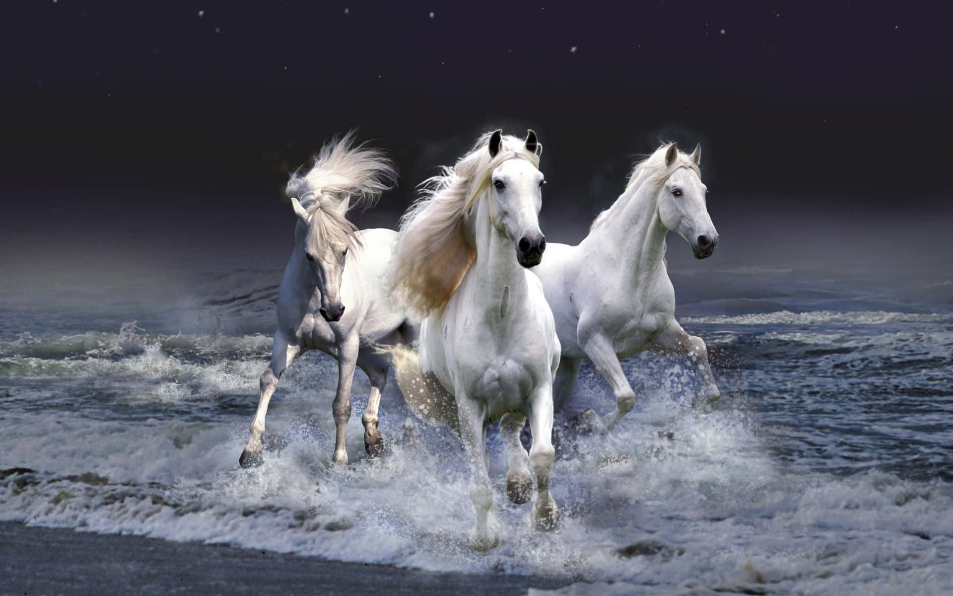 Pretty Horse 桌布 壁紙 — 三匹雄偉的白馬在星空下強力奔騰於泡沫翻騰的海浪中。