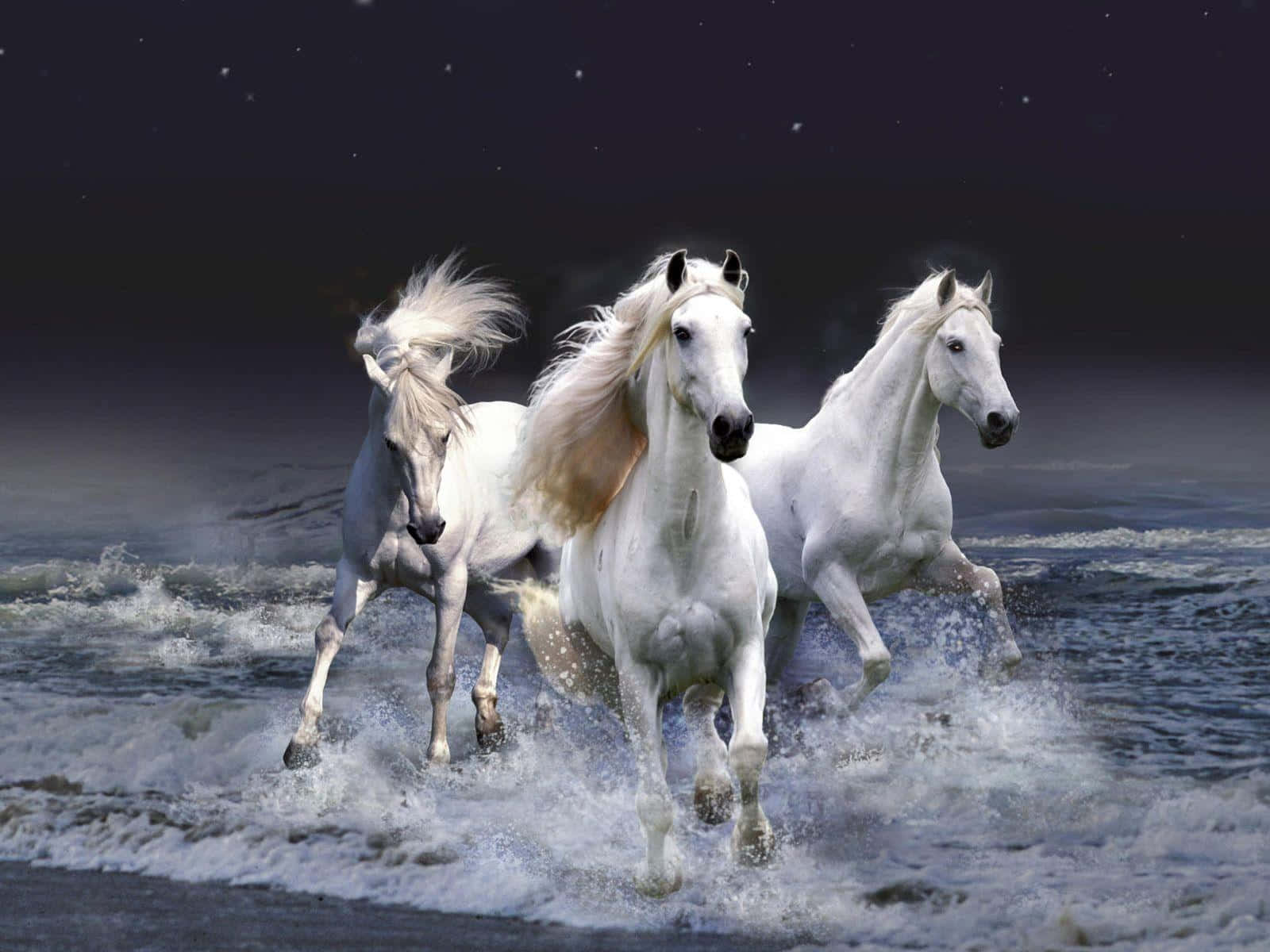 白馬 桌布 壁紙 — 三匹雄偉的白馬在繁星點點的夜空下，強而有力地奔騰在泡沫翻騰的海浪中。