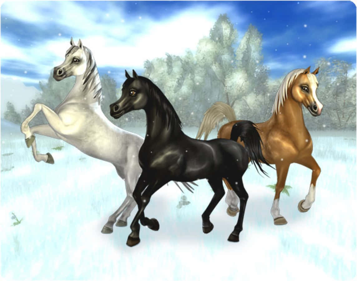 Arabian Horses 桌布 壁紙 — 三匹雄偉的馬，一匹白色、黑色和栗色，在明亮的藍天和柔軟的雲朵下奔馳過雪地。