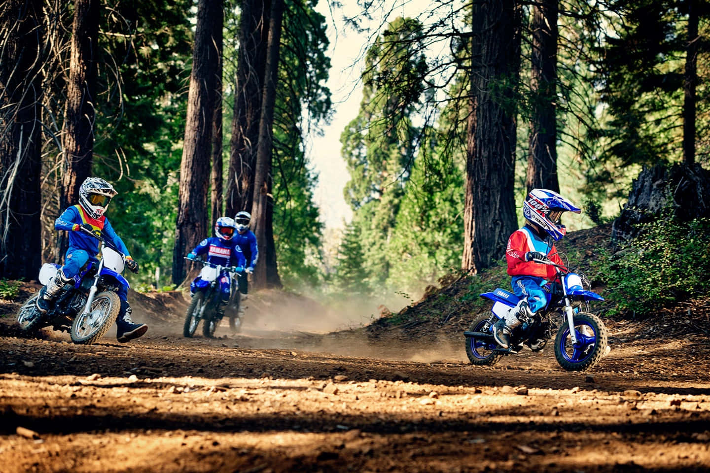 Dirtbike 桌布 壁紙 — 三名年輕越野摩托車手在陽光明媚的森林小徑上奔馳，藍色越野車揚起塵土。