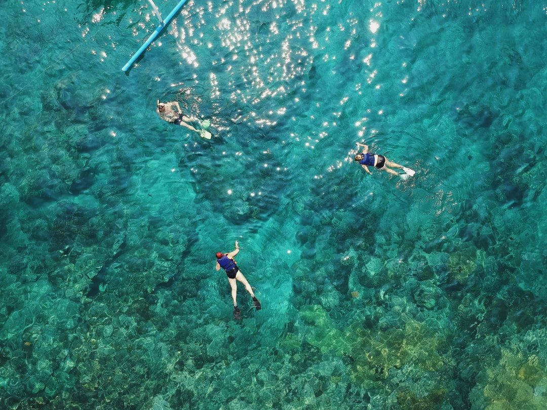 Snorkeling 桌布 壁紙 — 三名浮潛者在清澈碧綠的海水中滑行，露出下方充滿活力的珊瑚。
