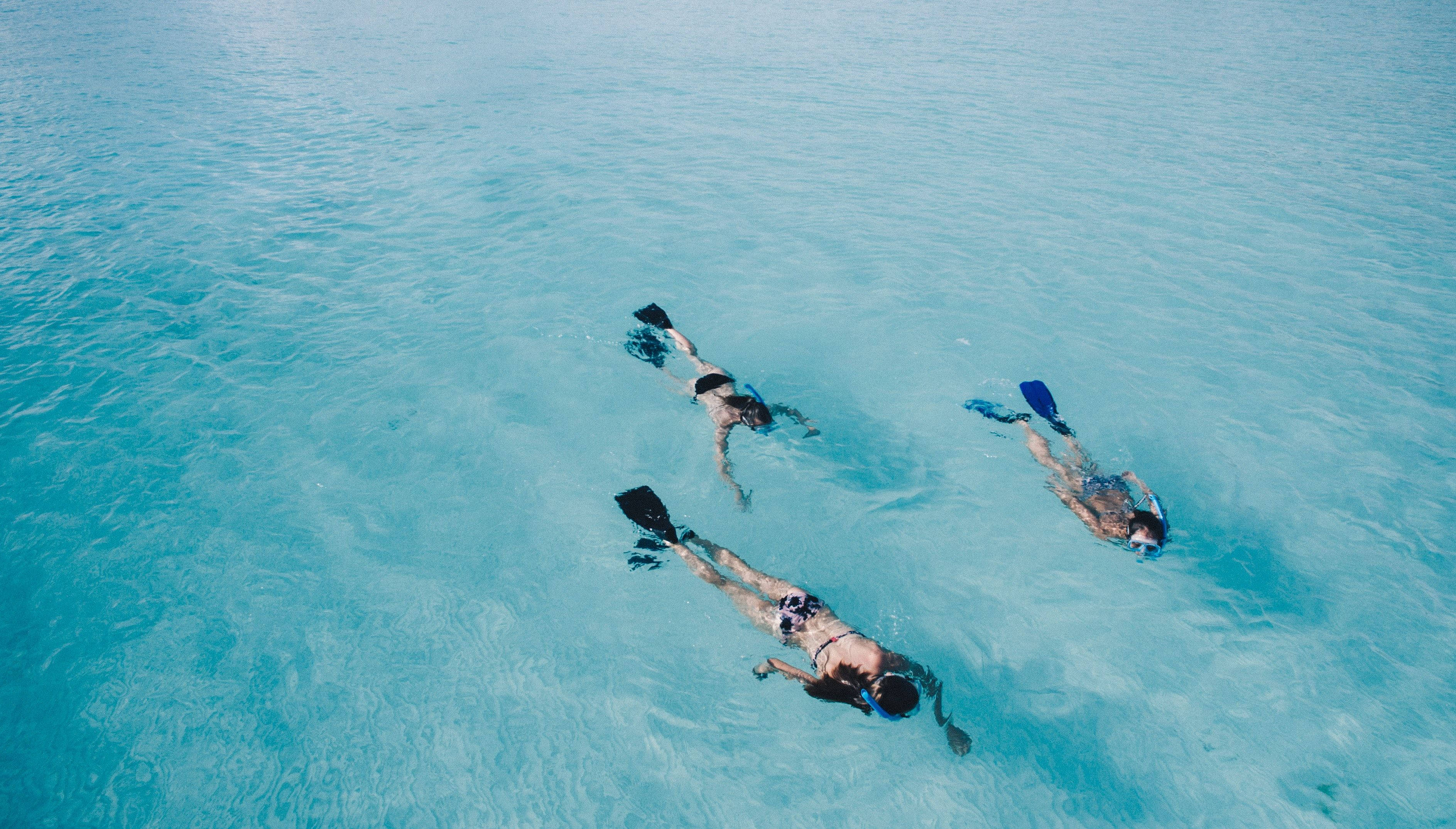 Snorkeling 桌布 壁紙 — 三名浮潛者從空中視角滑過清澈的碧綠海水。