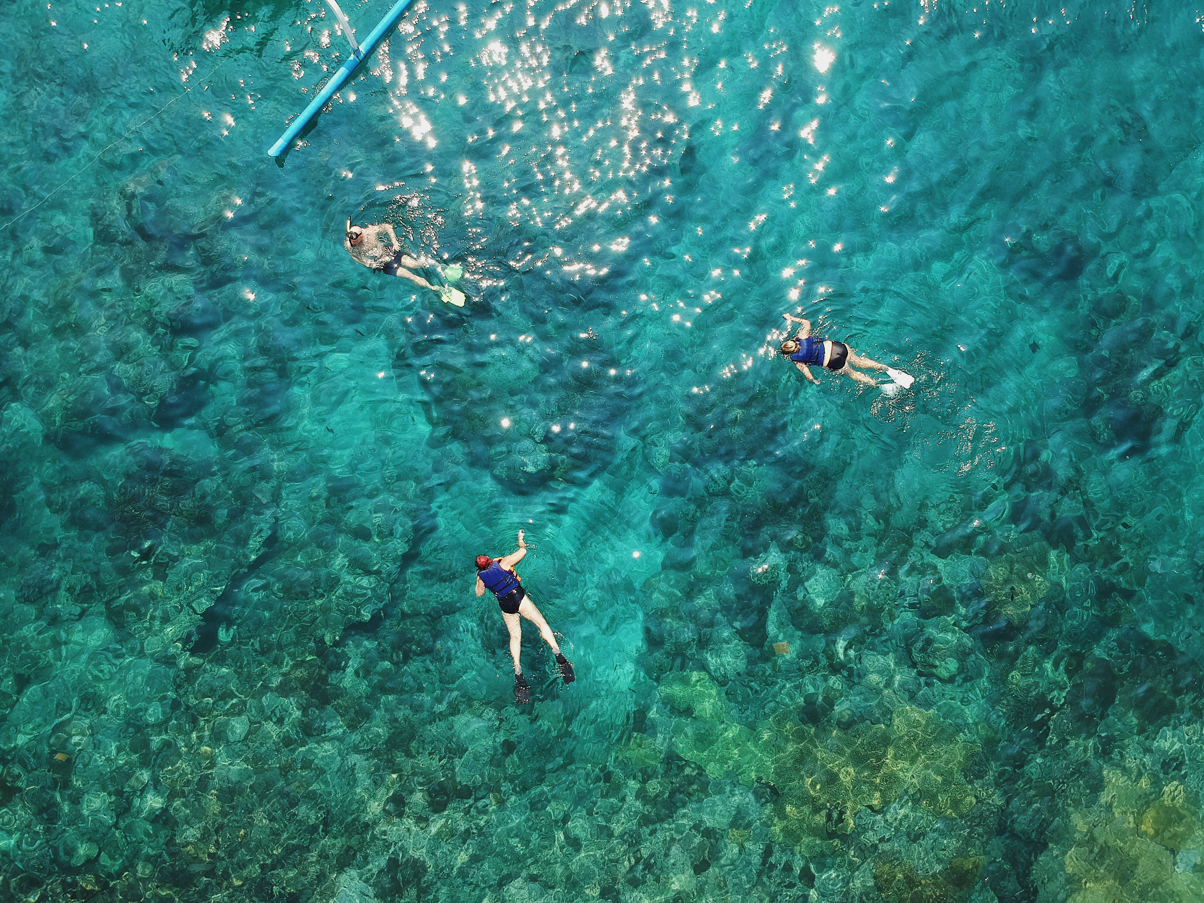 Snorkeling 桌布 壁紙 — 三名浮潛者滑過清澈碧綠的海水，露出下方充滿活力的珊瑚礁。