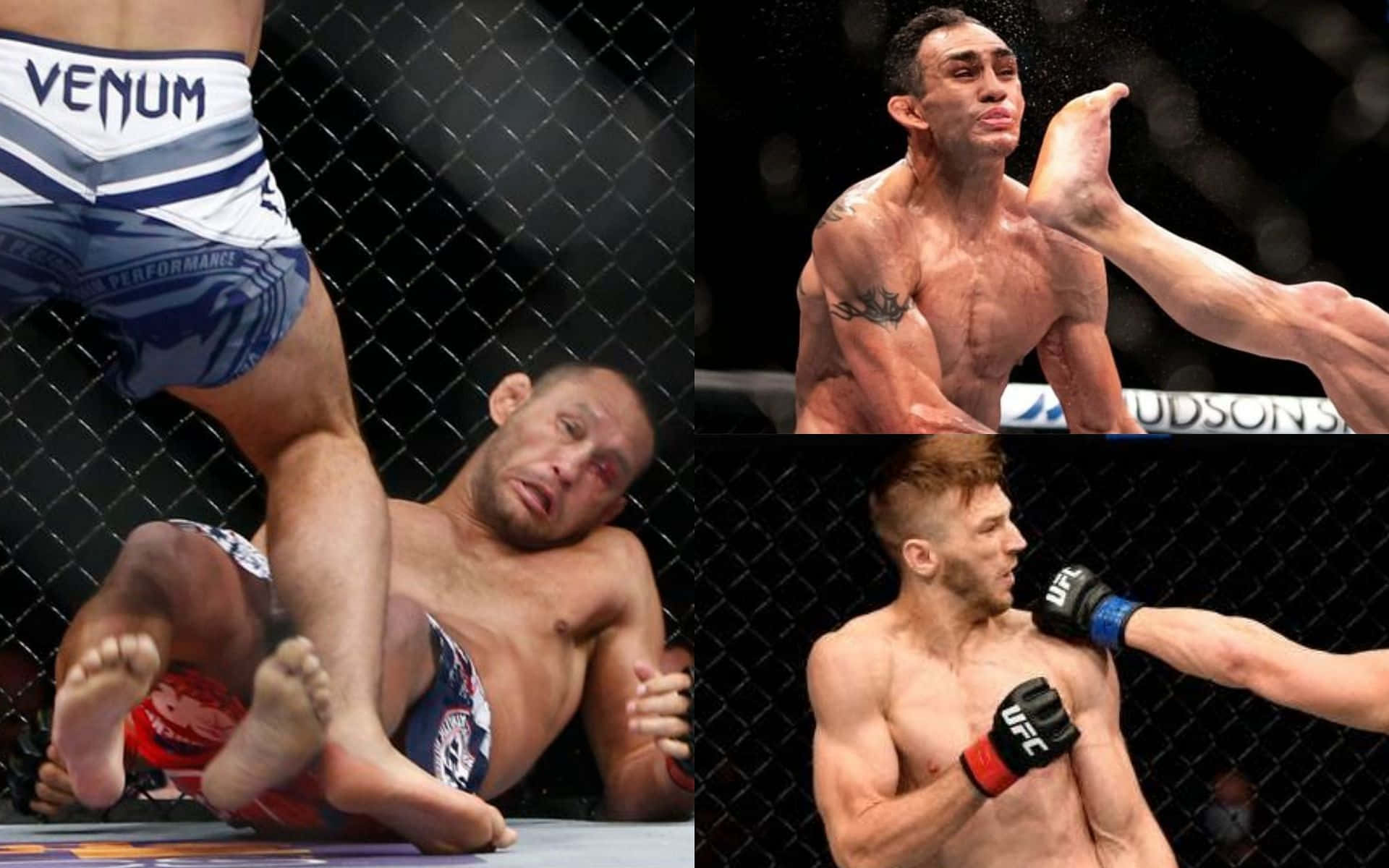 Boxing 桌布 壁紙 — 三名激烈的MMA拳手在八角籠內作戰，在明亮的場館燈光下可見血和汗水。