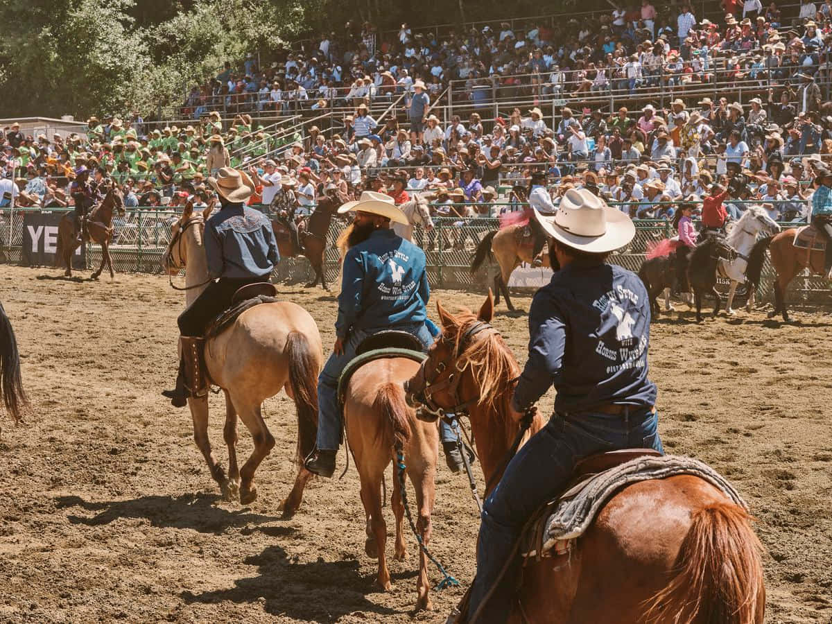 Rodeo 桌布 壁紙 — 三名牛仔騎著馬穿過陽光普照的牛仔競技場，觀眾從擠滿人的看台上觀看。