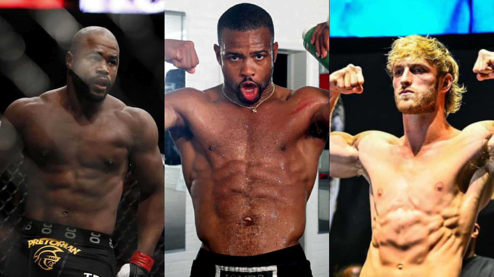 UFC 桌布 壁紙 — 三名肌肉發達的男性拳手在綜合格鬥競技場上激烈擺姿勢，汗水在他們線條分明的體格上閃閃發光。