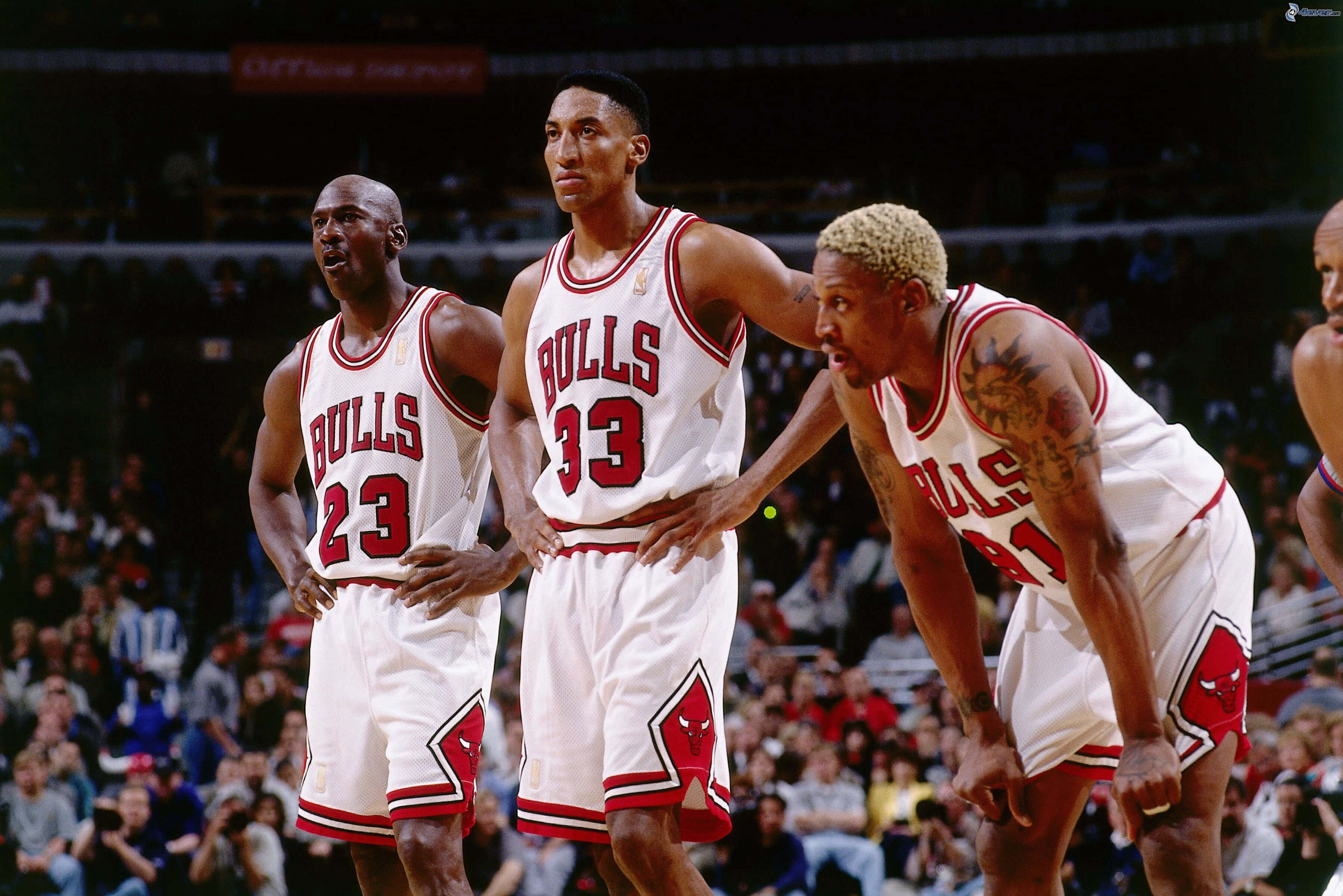 NBA 桌布 壁紙 — 三名芝加哥公牛隊籃球運動員身穿白色紅邊球衣，在比賽中專注地站在球場上，背景有觀眾。