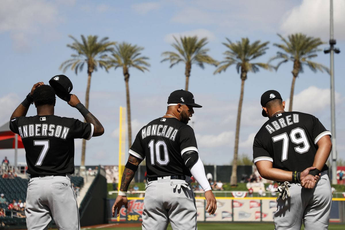 jose abreu 桌布 壁紙 — 三名身穿印有名字和號碼的黑色球衣的棒球運動員，站在陽光明媚的球場上，背後有棕櫚樹。
