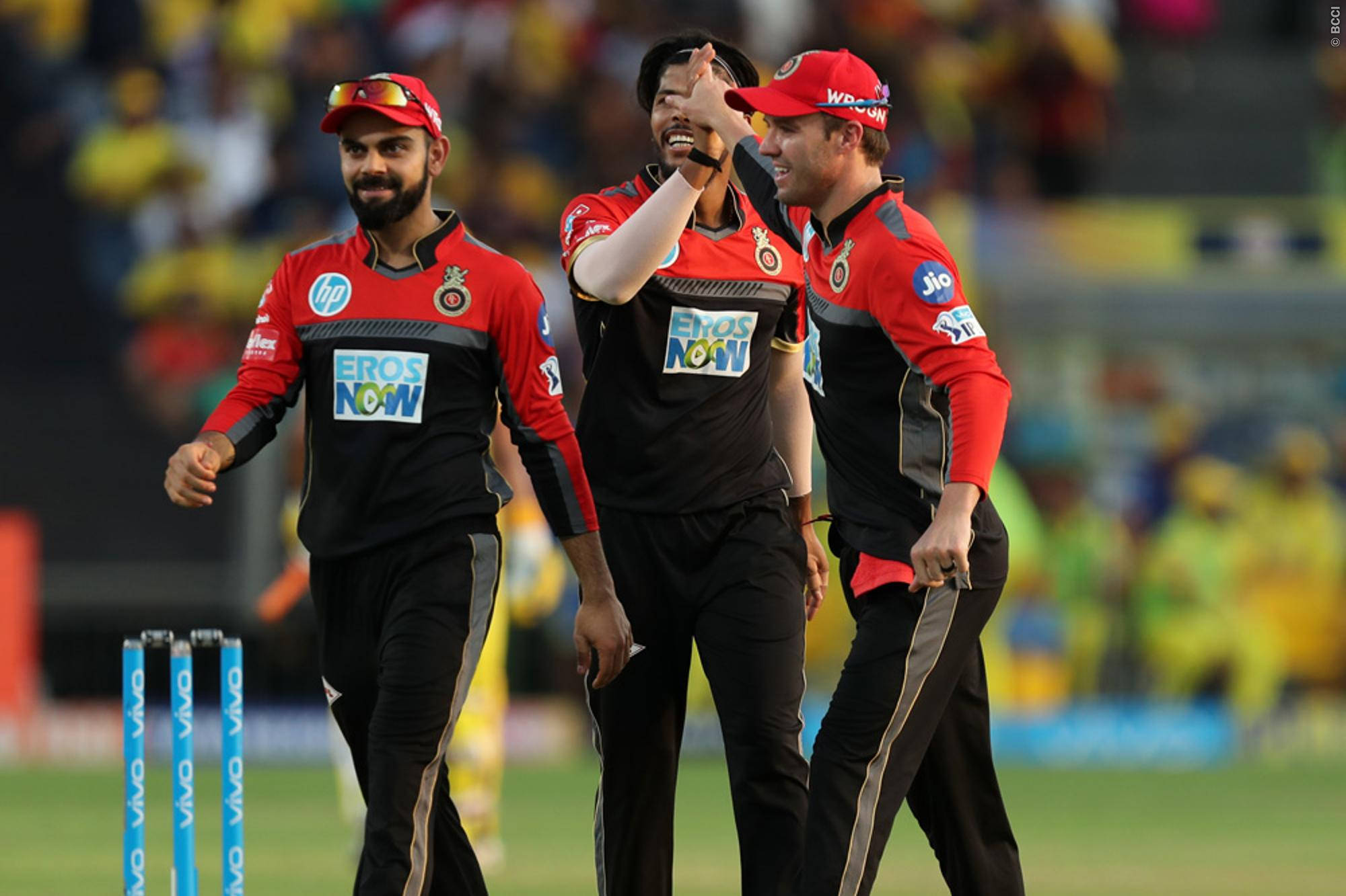 royal challengers bangalore 桌布 壁紙 — 三名身穿紅黑球衣的板球運動員在綠色球場上慶祝擊倒三柱門，背景是體育場的人群。