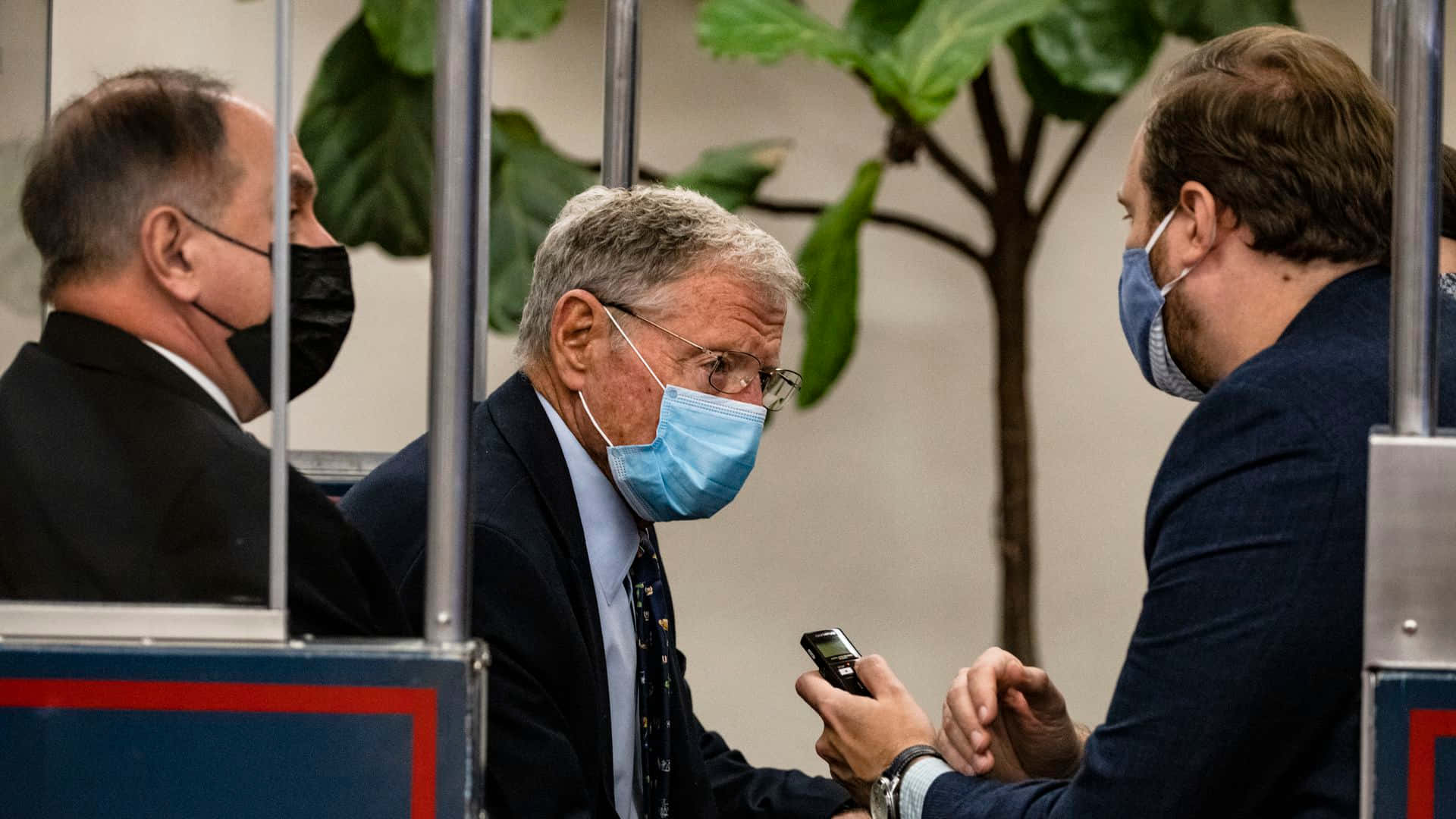 Celebrity 桌布 壁紙 — 三名身穿西裝、戴著口罩的男子在現代辦公室的大型琴葉榕後面，隔著玻璃隔板交談。