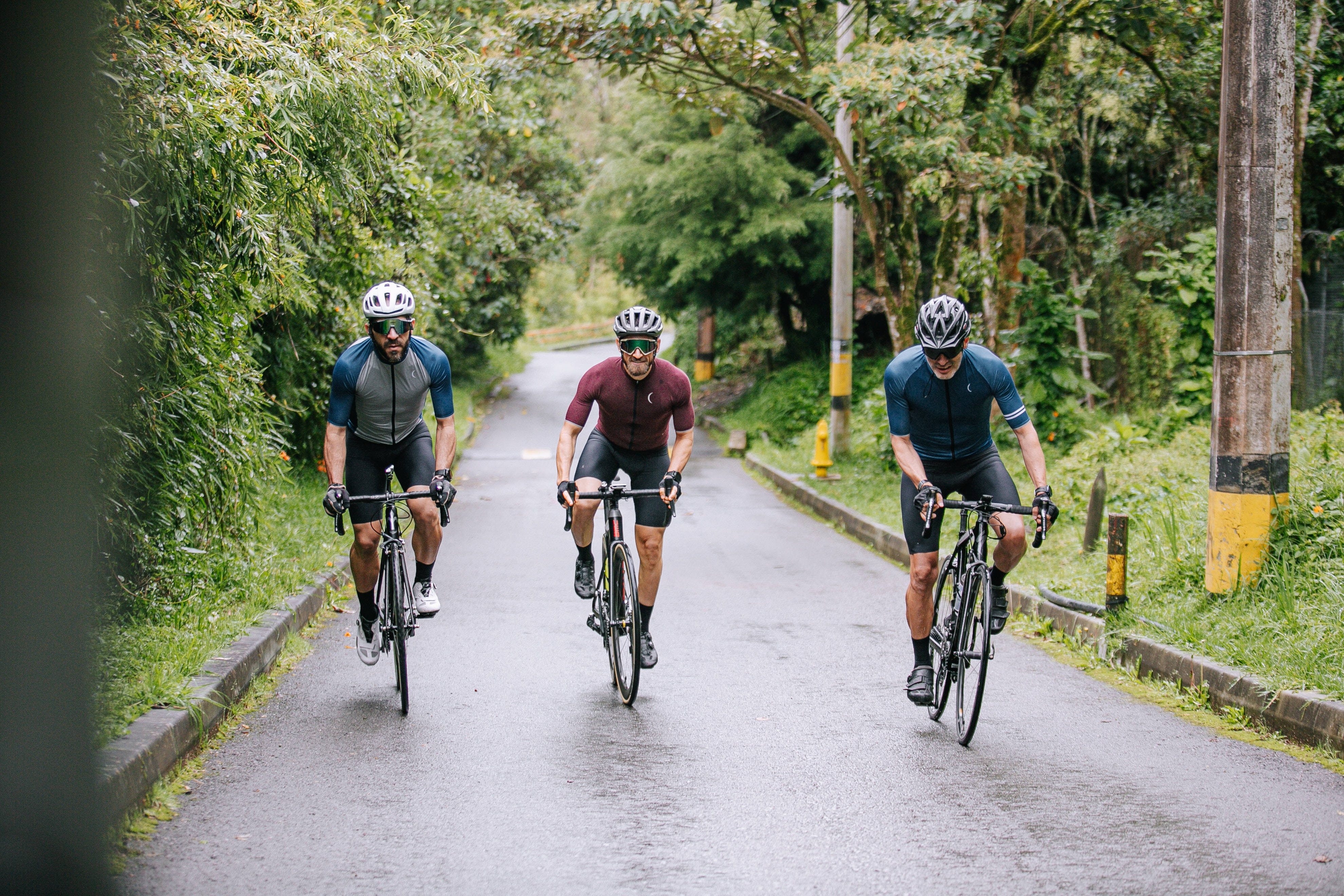 Bicycle 桌布 壁紙 — 三名身穿運動裝備的自行車騎士，在陰天潮濕的林蔭大道上奮力踩踏。