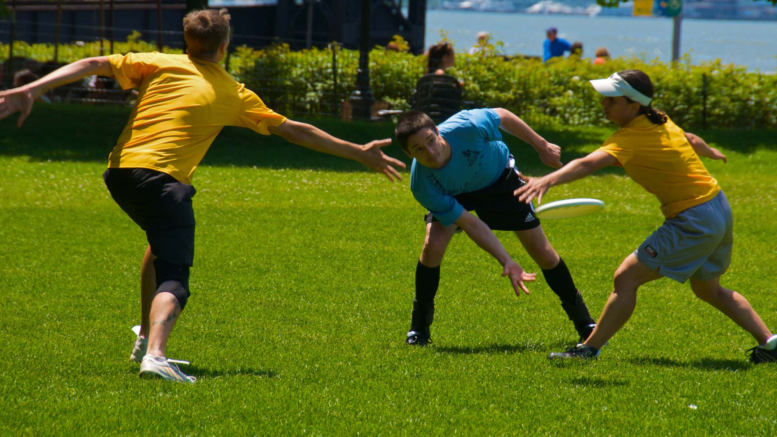 1440p Ultimate Frisbee 桌布 壁紙 — 三名身穿鮮豔球衣的運動員在陽光明媚的草地上激烈競爭，飛盤在空中飛過。