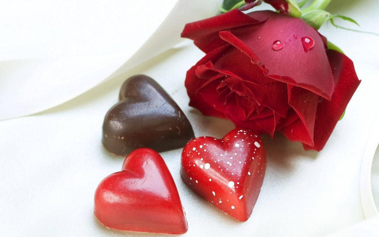 Rose Flower 桌布 壁紙 — 三塊紅色和棕色的光澤心形巧克力放在白色布料上，旁邊有一朵沾滿露珠的紅玫瑰。