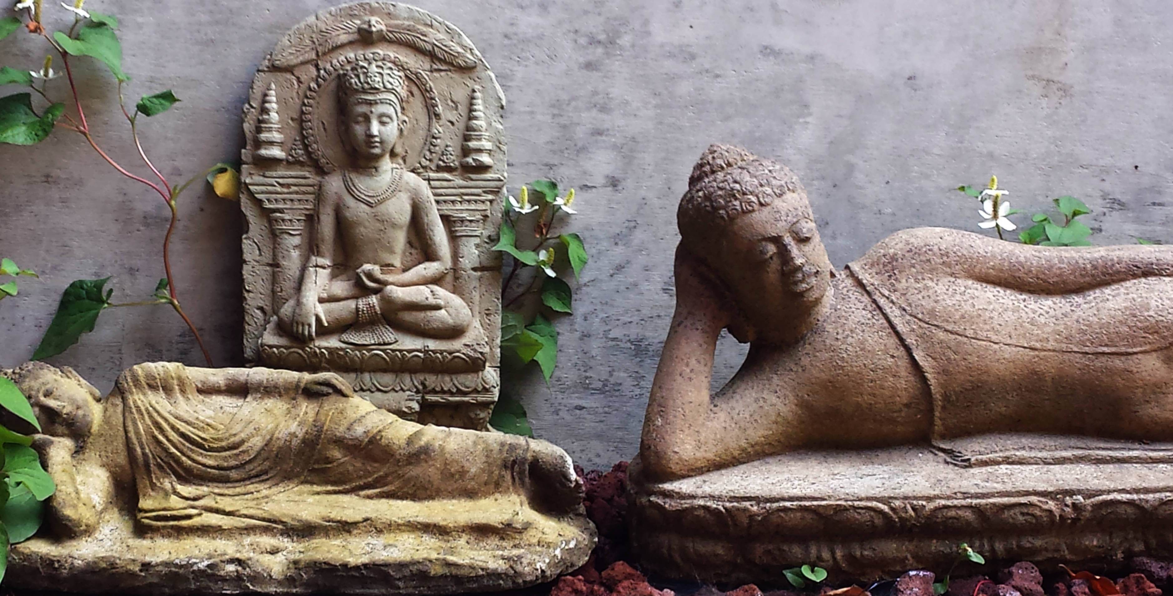 Gautam Buddha 桌布 壁紙 — 三尊風化的石佛像在灰色牆壁前，於綠色藤蔓和紅色礫石中安詳地躺臥和端坐。