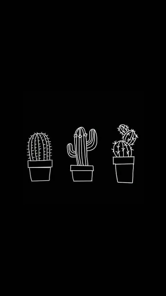 Aesthetic Black And White 桌布 壁紙 — 三幅極簡白色線條畫的盆栽仙人掌，立在純黑色背景上。