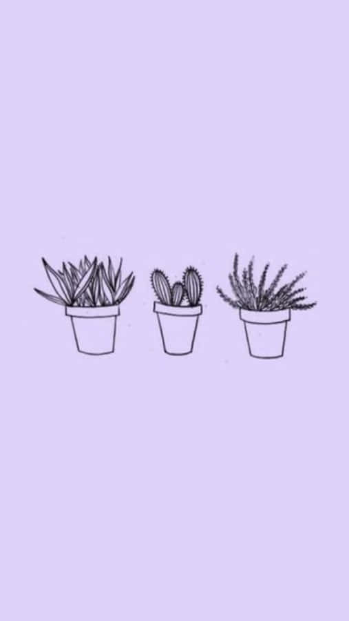 Lock Screen iPhone 桌布 壁紙 — 三幅極簡線條畫，描繪盆栽多肉植物和仙人掌，居中放置在柔和的薰衣草色背景上。