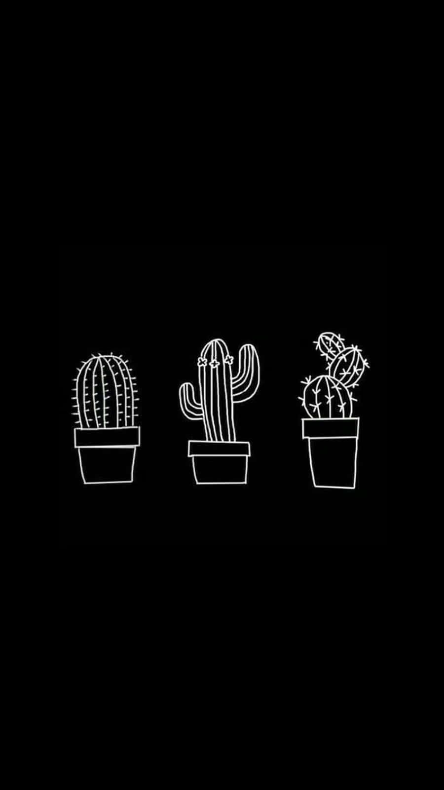 Cool Black And White 桌布 壁紙 — 三幅極簡風格的白色線條盆栽仙人掌圖案，矗立在純黑色背景上。