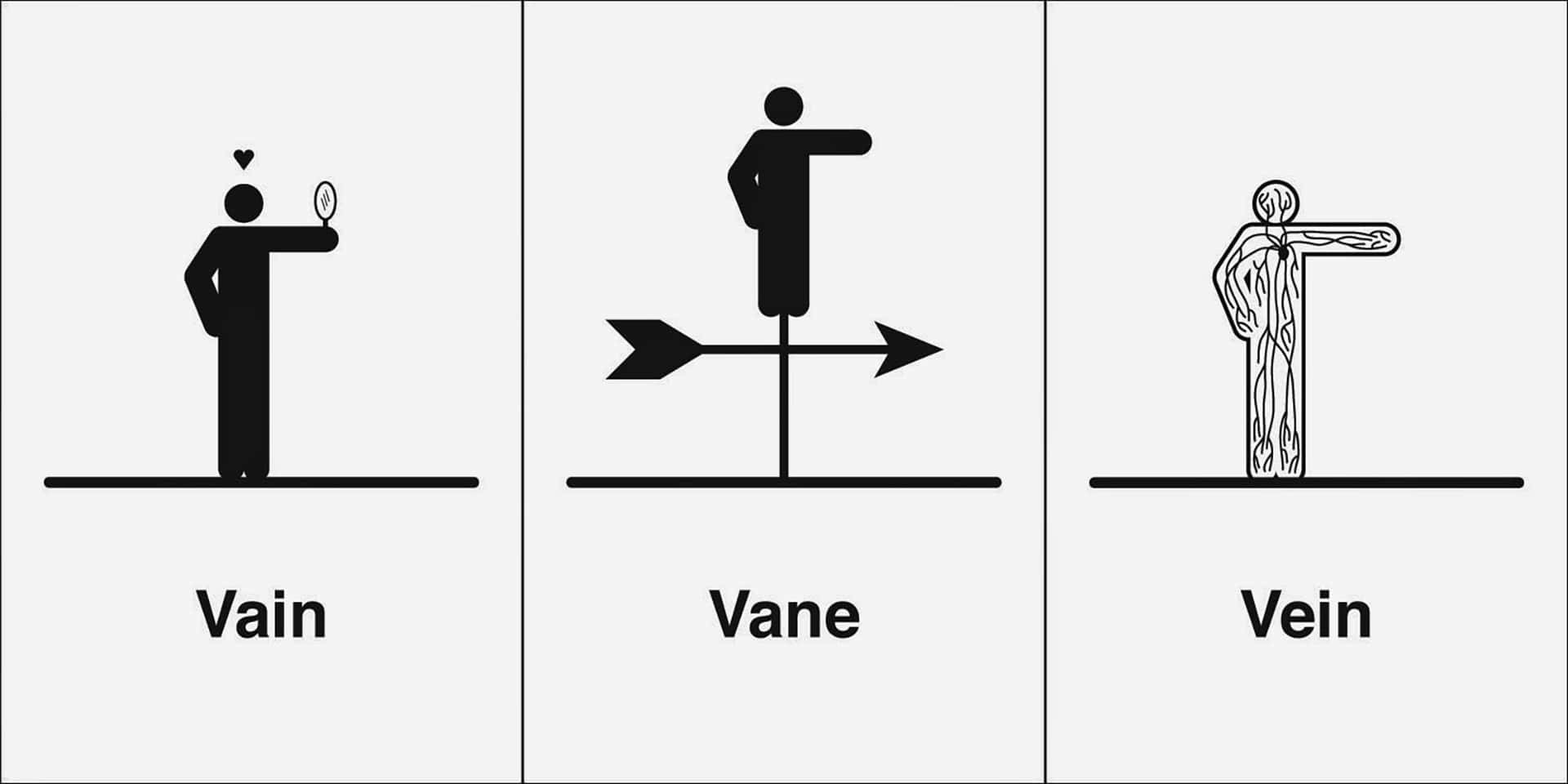 vain 桌布 壁紙 — 三幅極簡黑色線條圖，以帶標籤的圖標說明同音詞 vain vane vein。