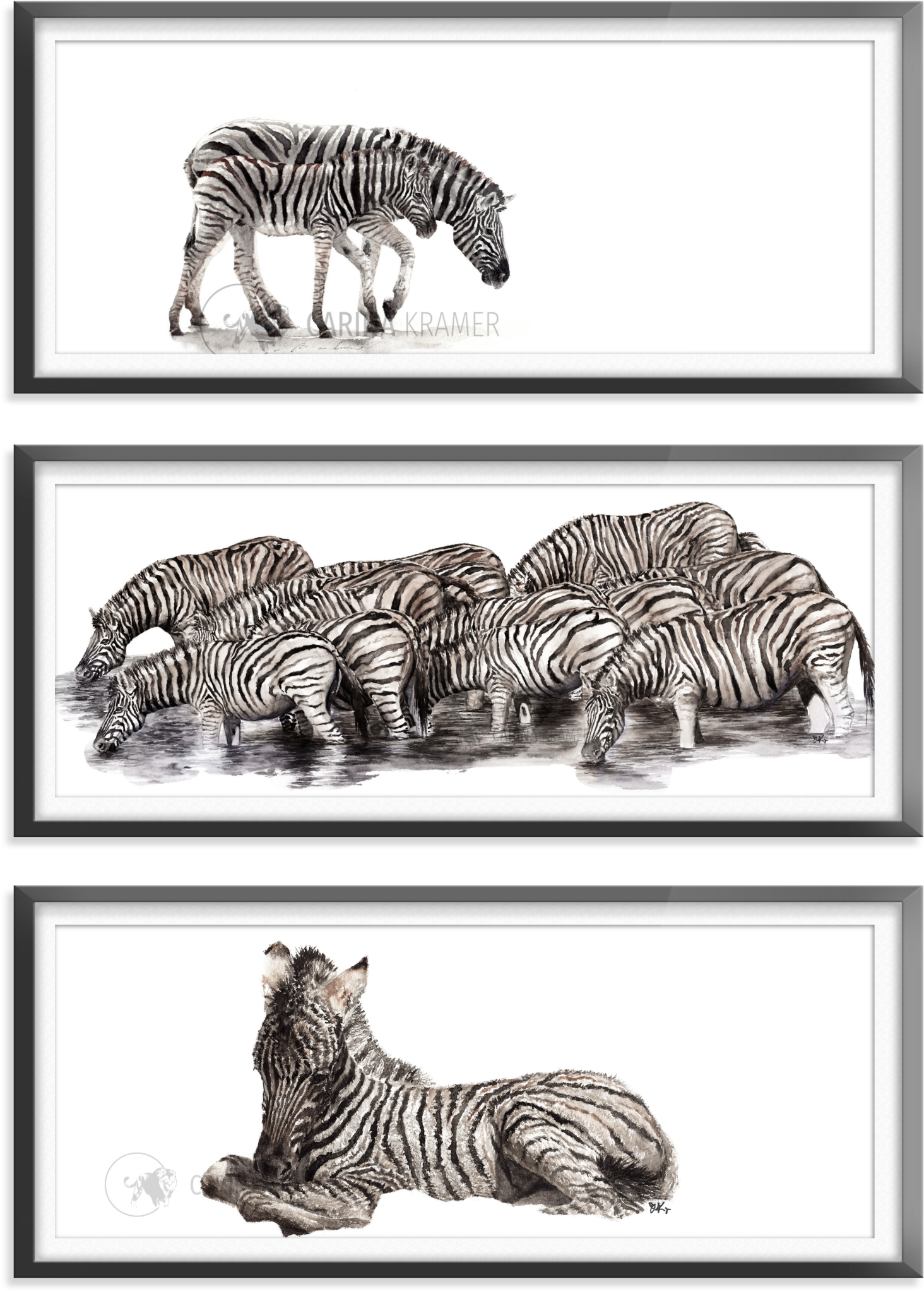 Zebra 桌布 壁紙 — 三幅裱框黑白插圖描繪斑馬：一隻母親和幼崽行走、一群飲水、以及一隻孤獨休息的斑馬。