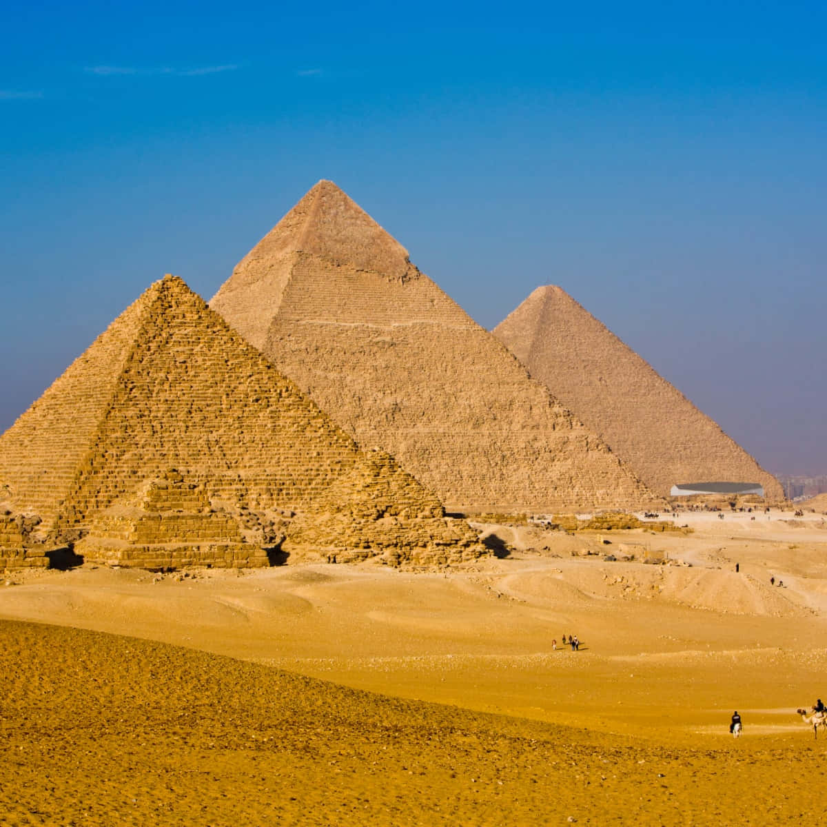 Egypt 桌布 壁紙 — 三座巨大的古老金字塔從金色沙漠中升起，在清澈的藍天下，下方有細小的駱駝騎手。