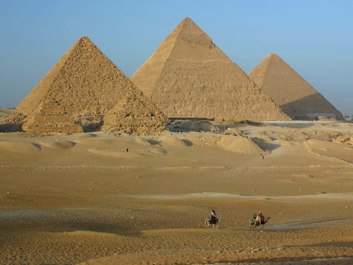 Egypt Pyramids 桌布 壁紙 — 三座巨大的金字塔從金色沙漠中升起，兩隻駱駝載著騎手在清澈藍天下穿越前景。