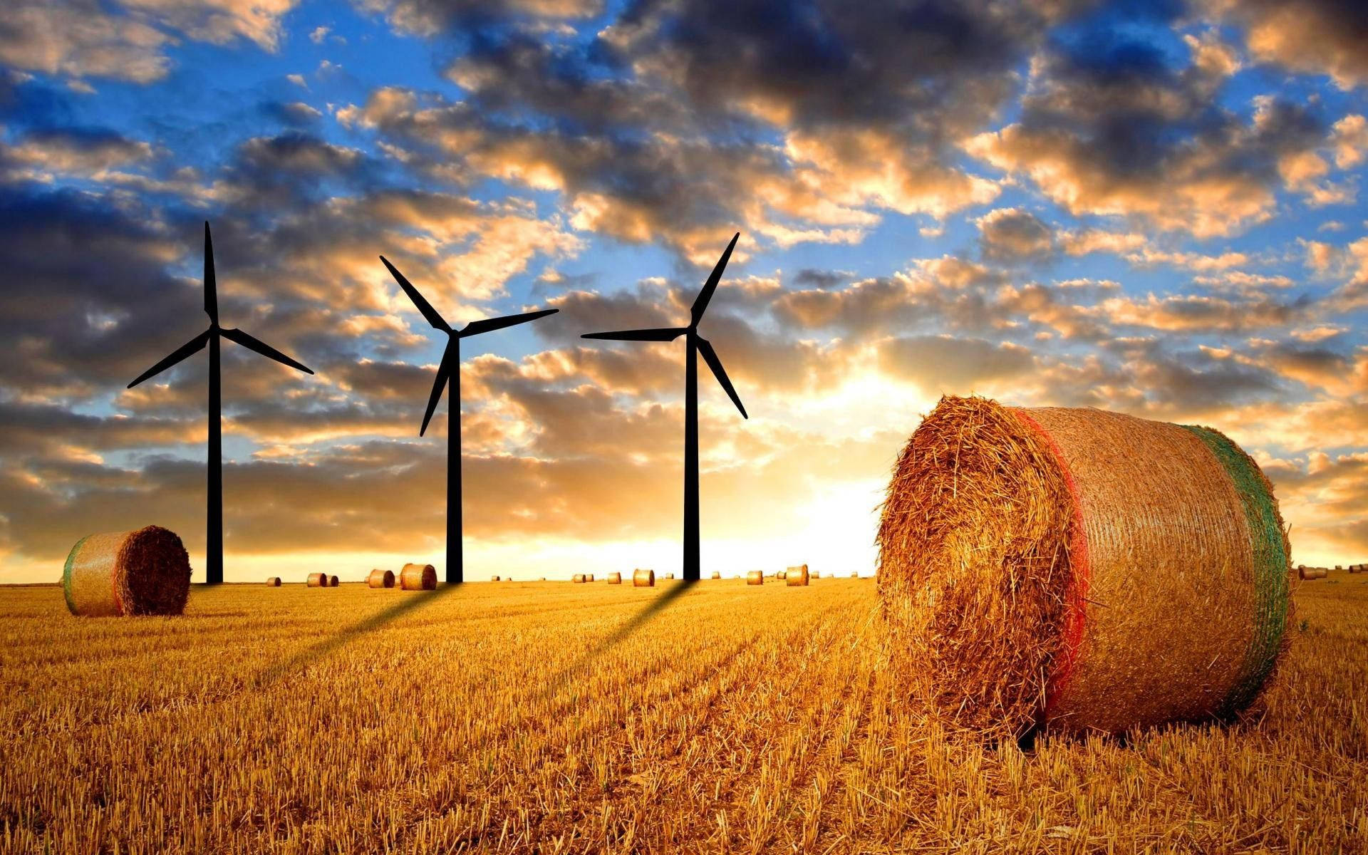 Agriculture 桌布 壁紙 — 三座風力發電機矗立在夕陽下的金色麥田裡，乾草捆散落在風景中。