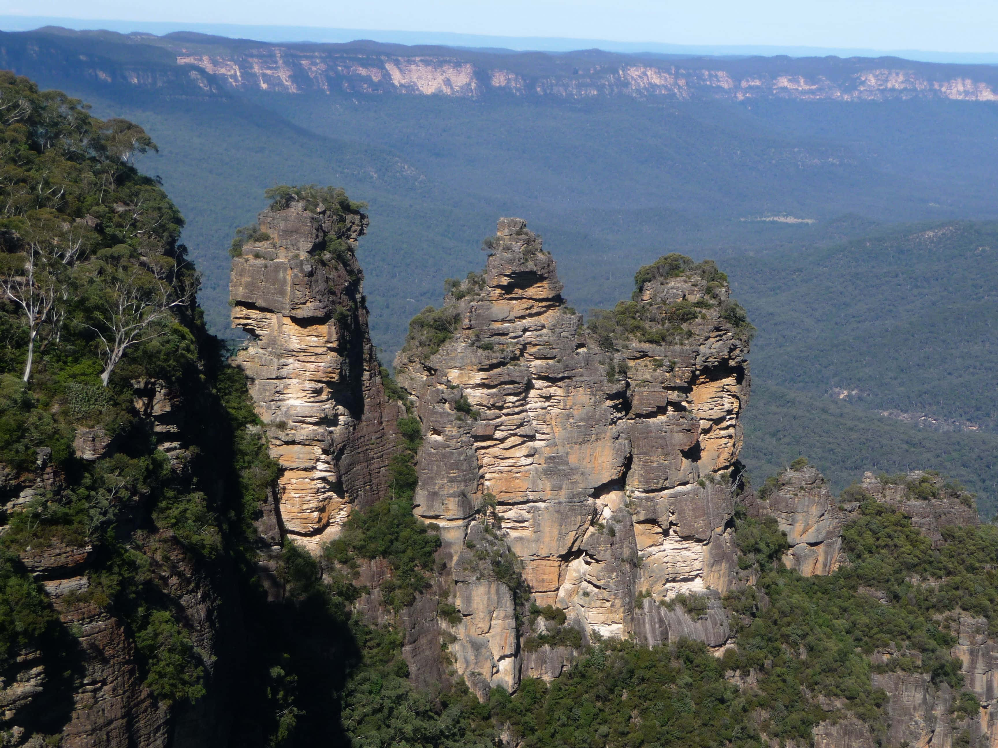 Blue Mountains National Park 桌布 壁紙 — 三座高聳的砂岩柱從茂密的綠色森林中戲劇性地升起，俯瞰著晴朗天空下廣闊的藍色山谷。