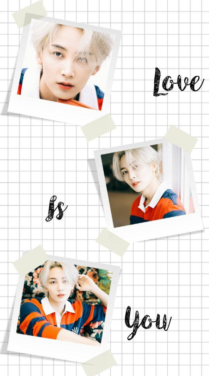 yoon jeonghan 桌布 壁紙 — 三張拍立得照片，一個銀髮年輕男子穿著紅藍條紋襯衫，釘在網格背景上，上面寫著 Love Is You。
