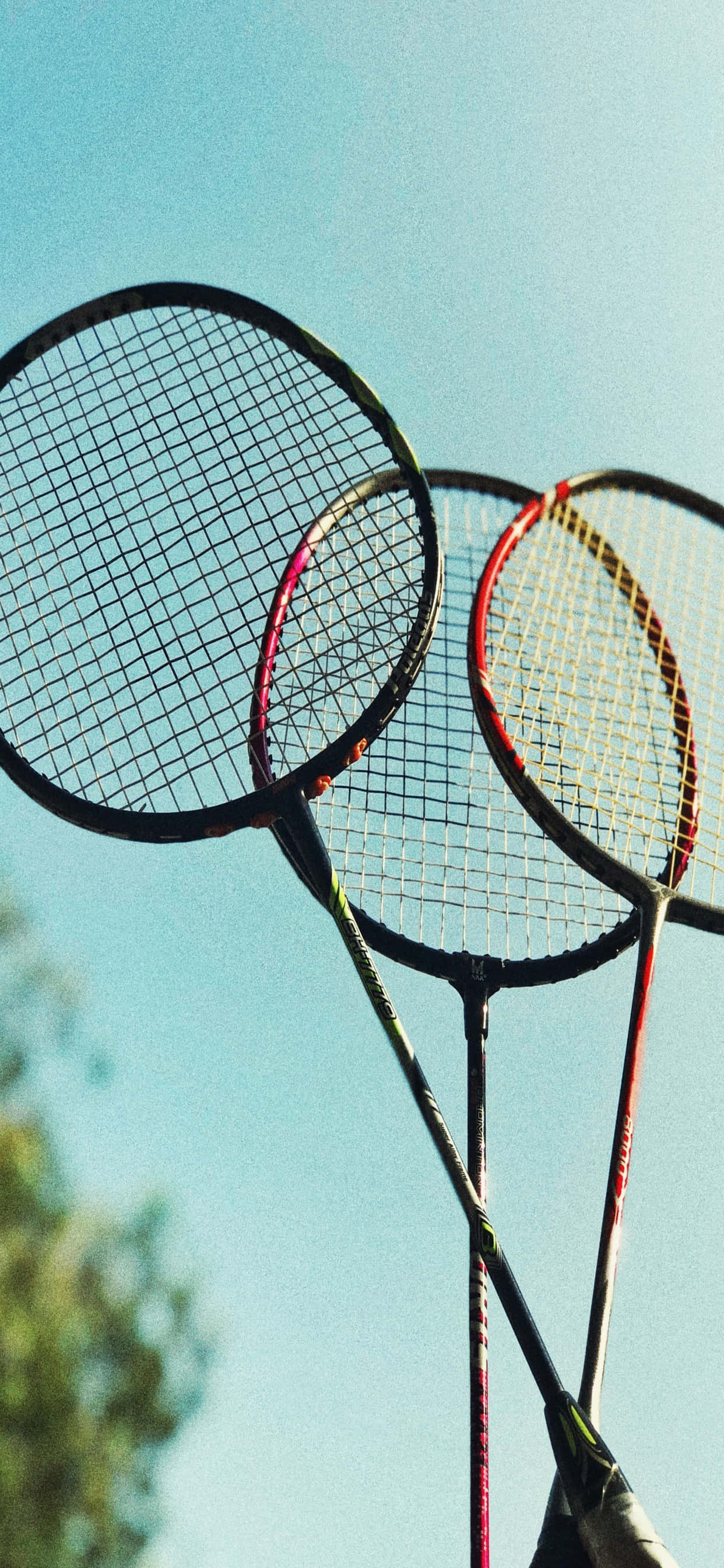 iPhone Xs Max Badminton 桌布 壁紙 — 三支羽毛球拍直立於清澈的藍天背景下，底部有模糊的綠色樹葉。