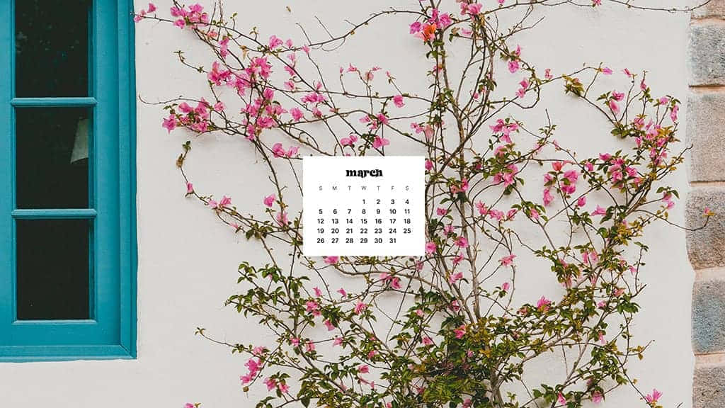 March Desktop 桌布 壁紙 — 三月日曆掛在白色牆上，周圍有盛開的粉紅色花朵和鮮豔的藍色窗框。