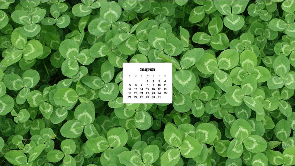 March Desktop 桌布 壁紙 — 三月日曆漂浮在茂盛的田野上，田野裡長滿了帶有白色脈絡的鮮綠色三葉草葉子。