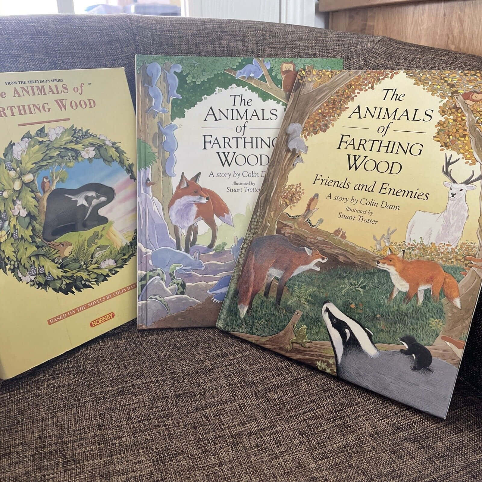 animals 桌布 壁紙 — 三本來自《法辛森林動物》系列的插圖兒童書放在一張有紋理的灰色沙發上。