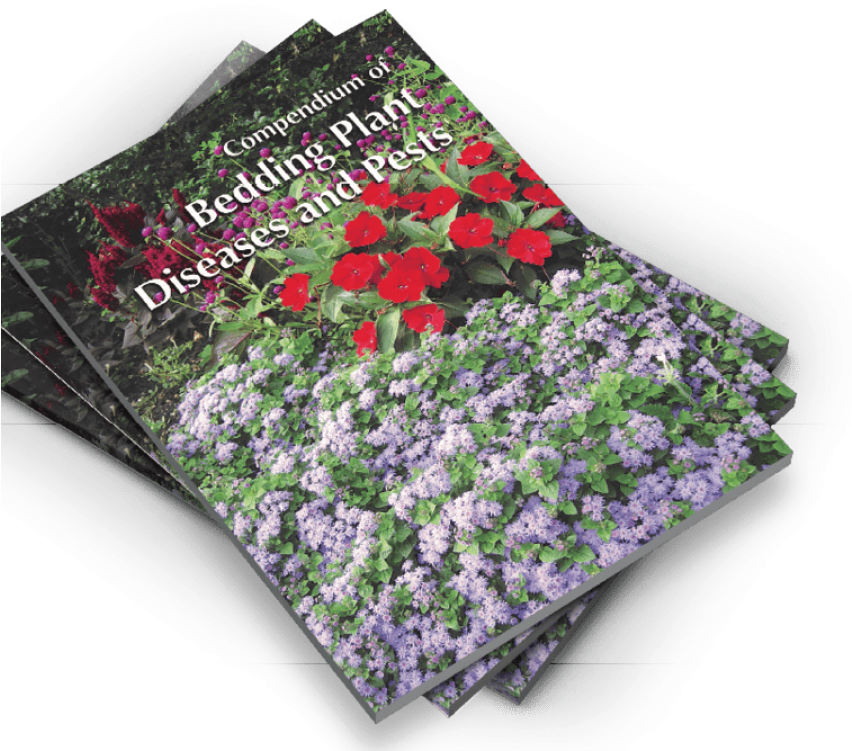長春花 桌布 壁紙 — 三本疊起的園藝書籍，名為《Compendium of Bedding Plant Diseases and Pests》，封面有鮮豔的紅色和紫色花朵。
