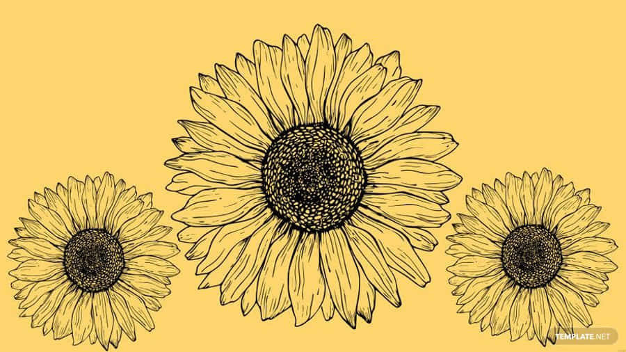Sunflower Yellow Tumblr Aesthetic 桌布 壁紙 — 三朵手繪向日葵，花瓣細緻，花心深色，漂浮在純芥末黃色背景上。