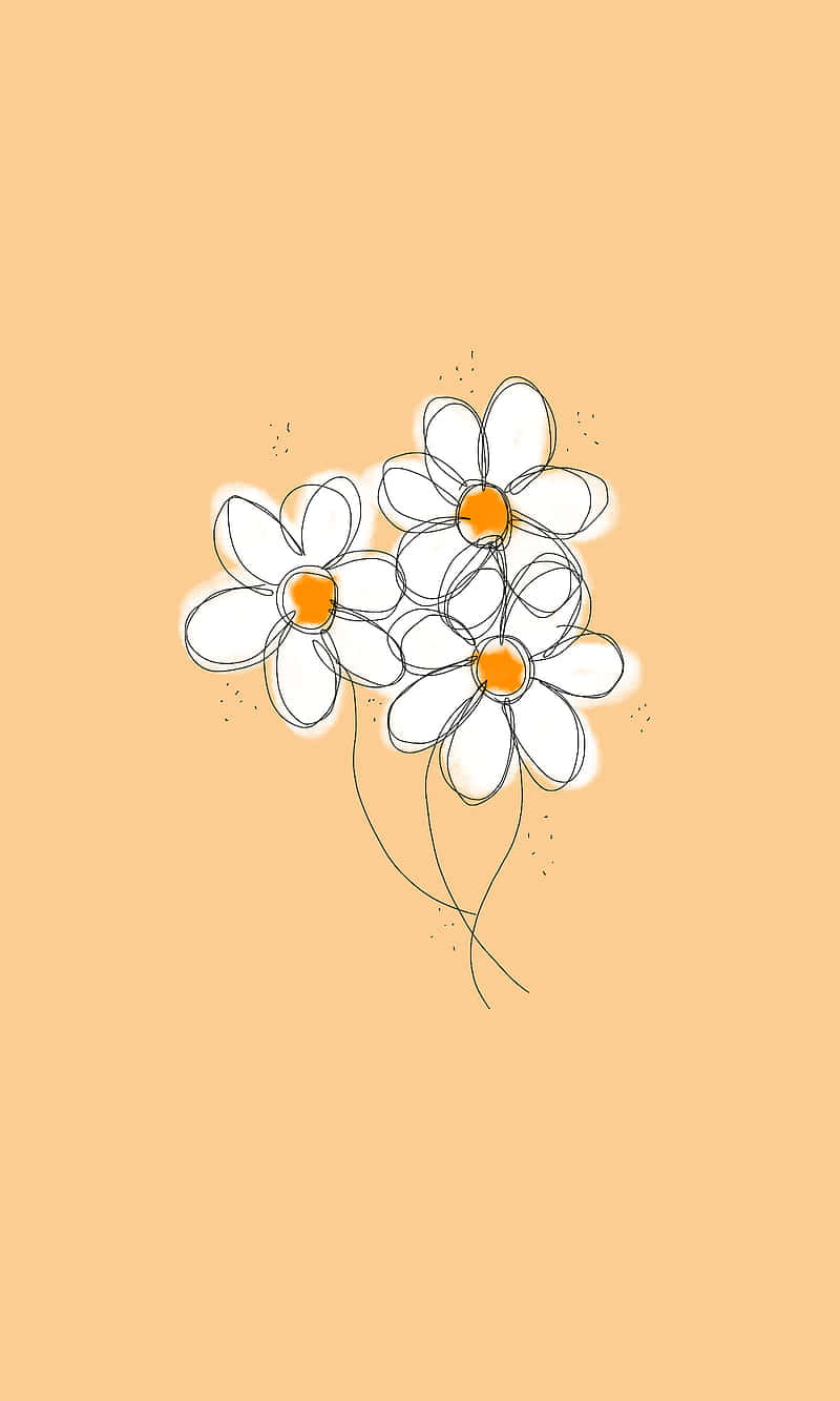 Cute Flower 桌布 壁紙 — 三朵極簡雛菊，橙色花心，漂浮在溫暖的蜜桃色背景上，帶有精緻的線條藝術和斑點。