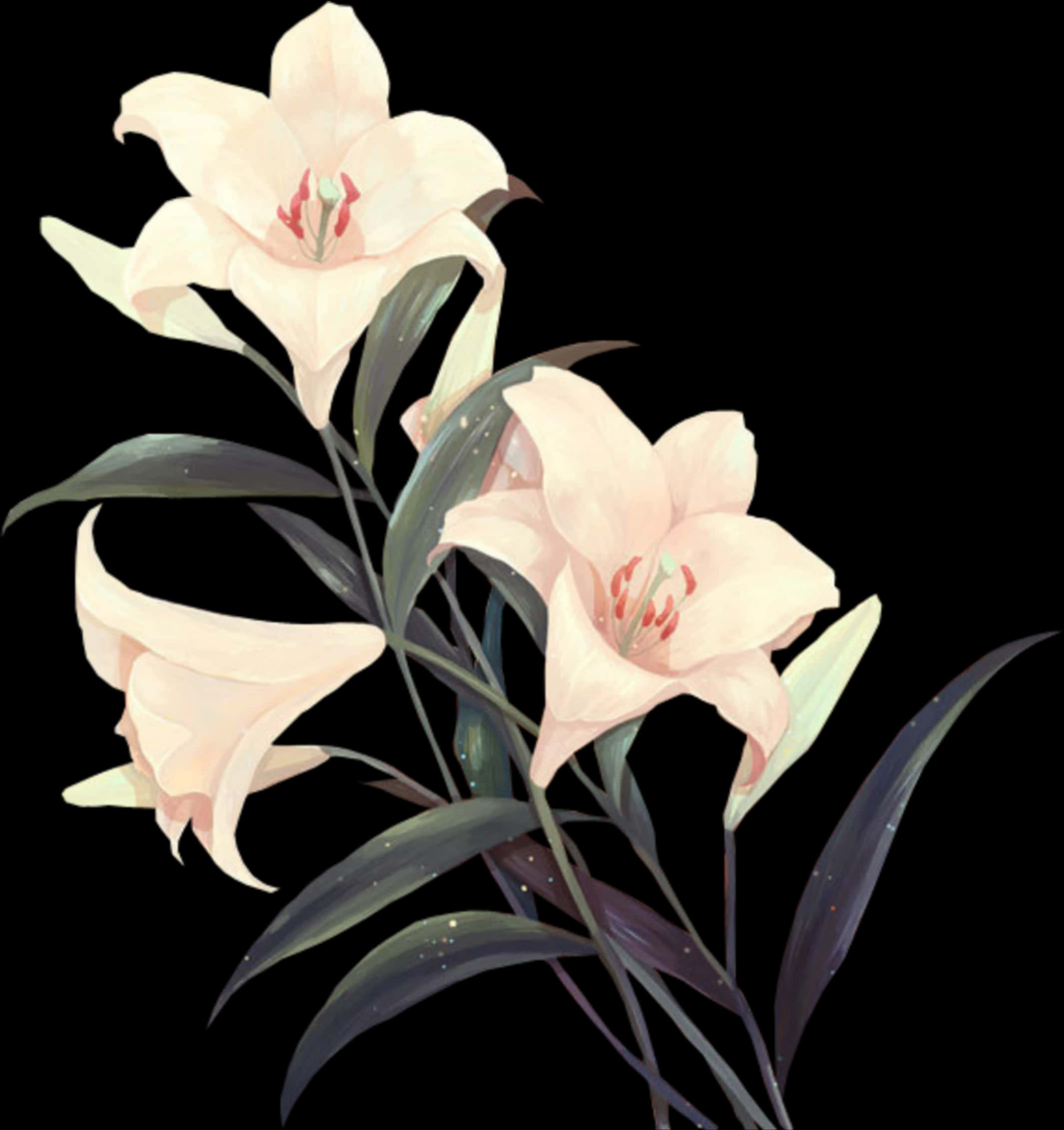 Flowers 桌布 壁紙 — 三朵淡粉色的百合花，深綠色的葉子，在純黑色的背景下優雅地綻放。