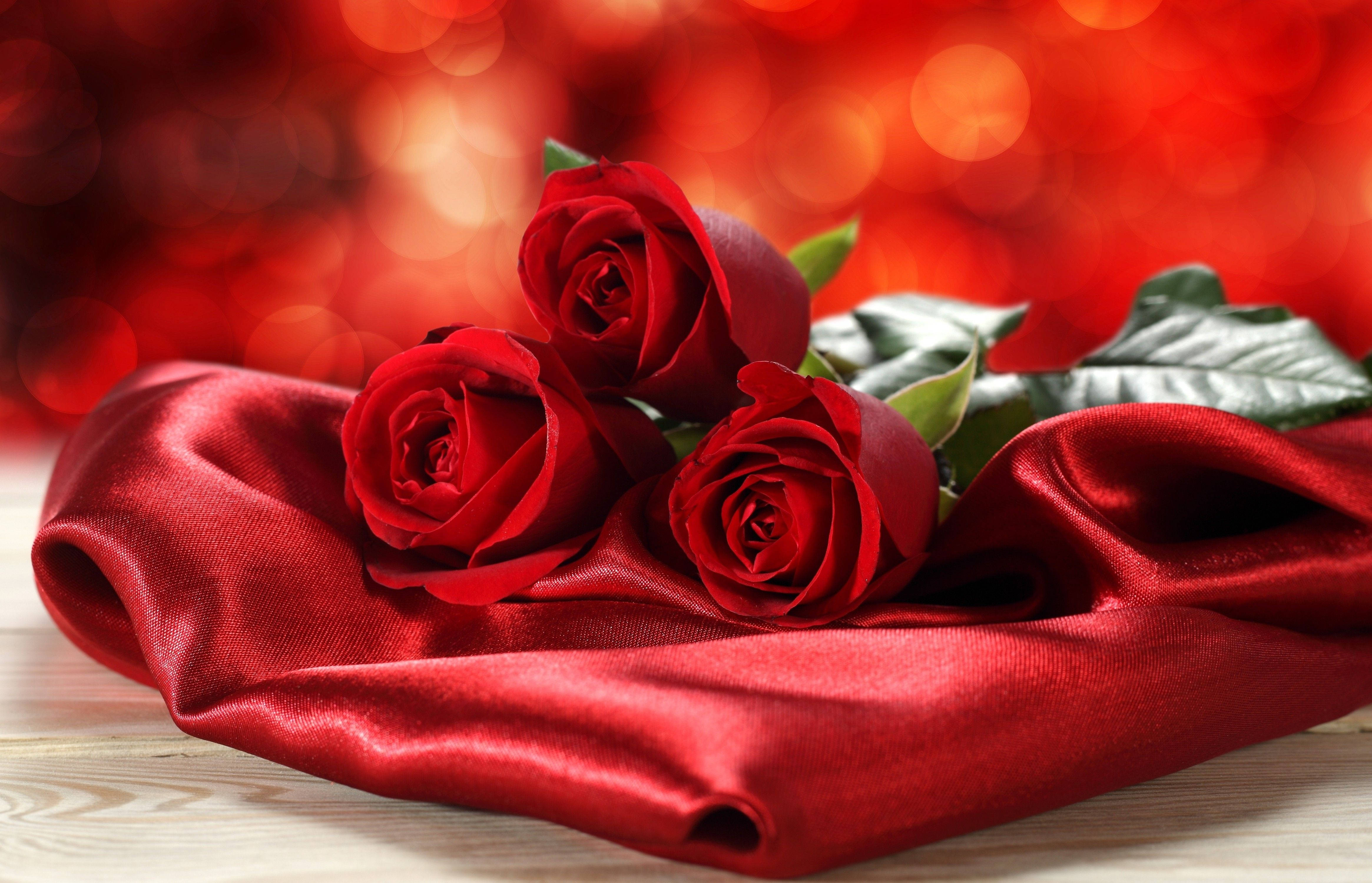 beautiful rose HD 桌布 壁紙 — 三朵深紅玫瑰優雅地放在相配的緞布上，背景是發光的紅色散景。